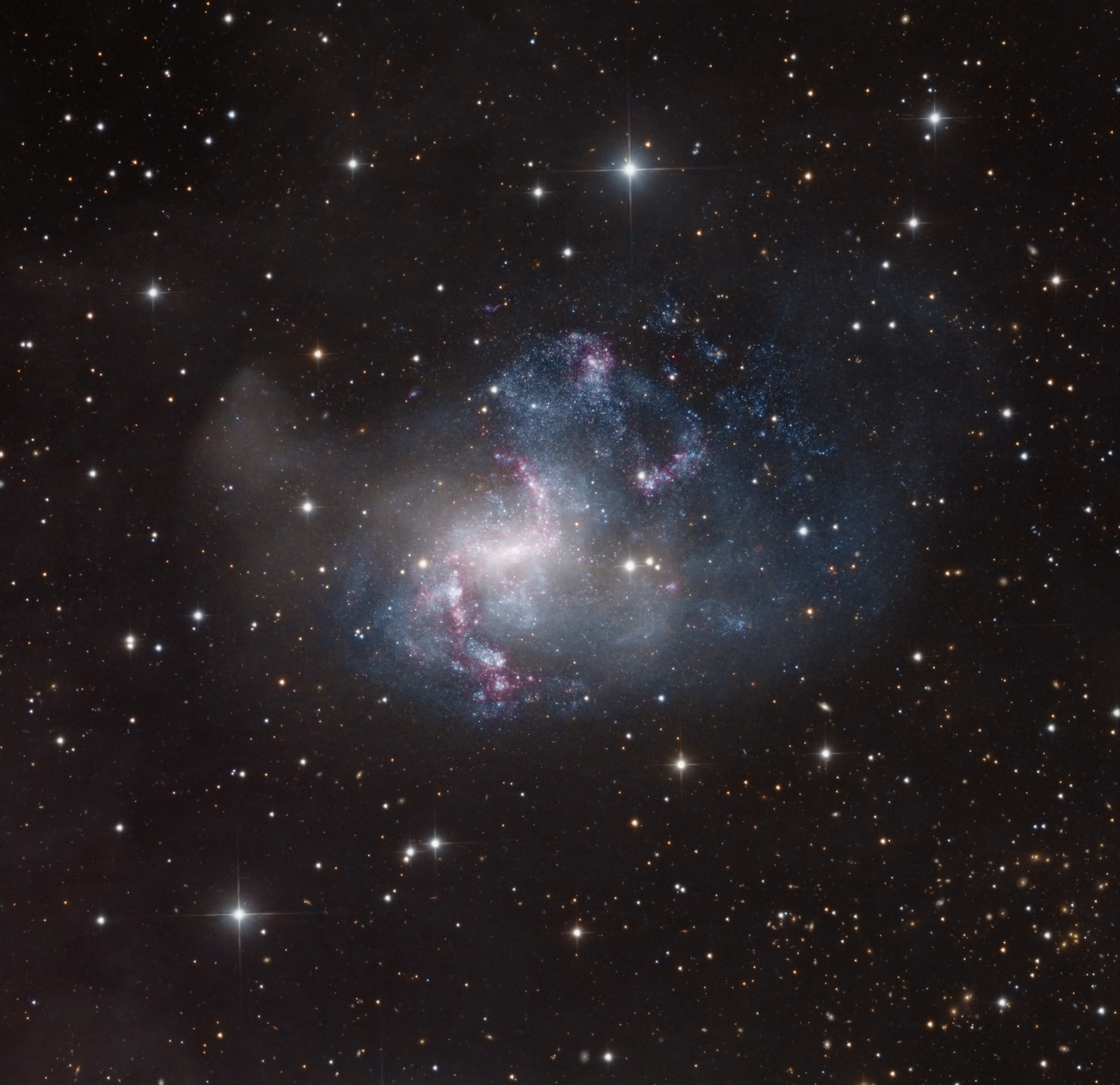 NGC 1313