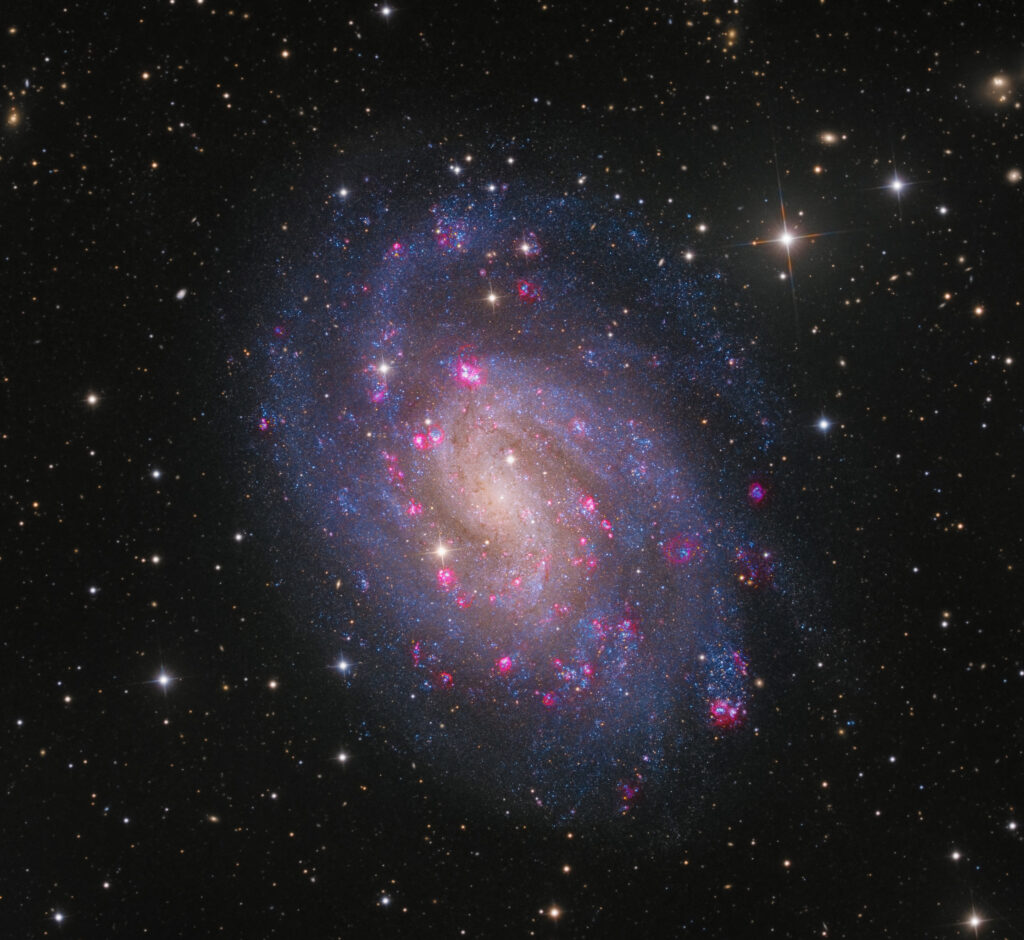 NGC 300