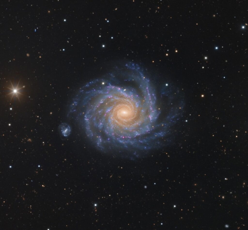 NGC 1232