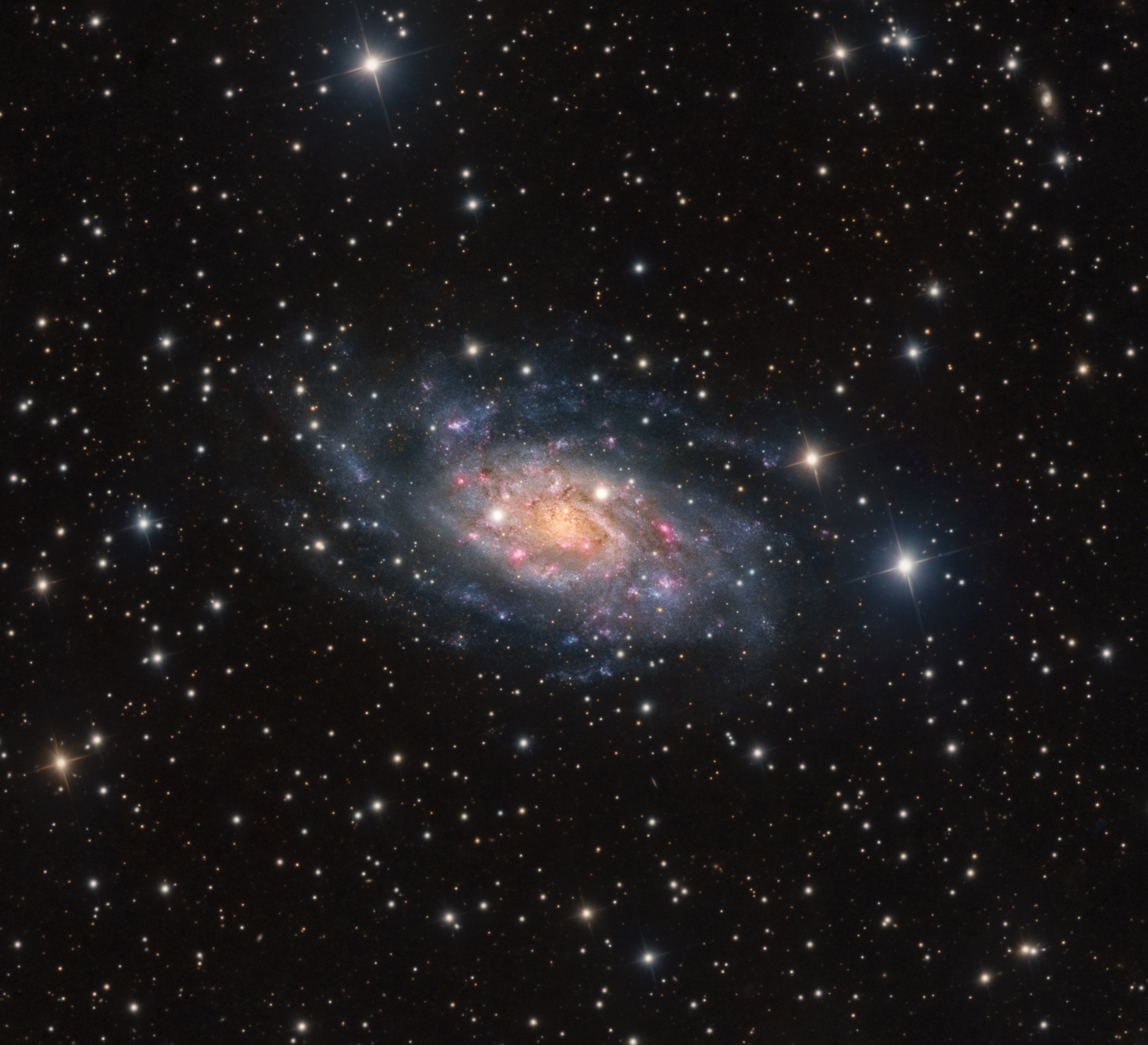 NGC 2403