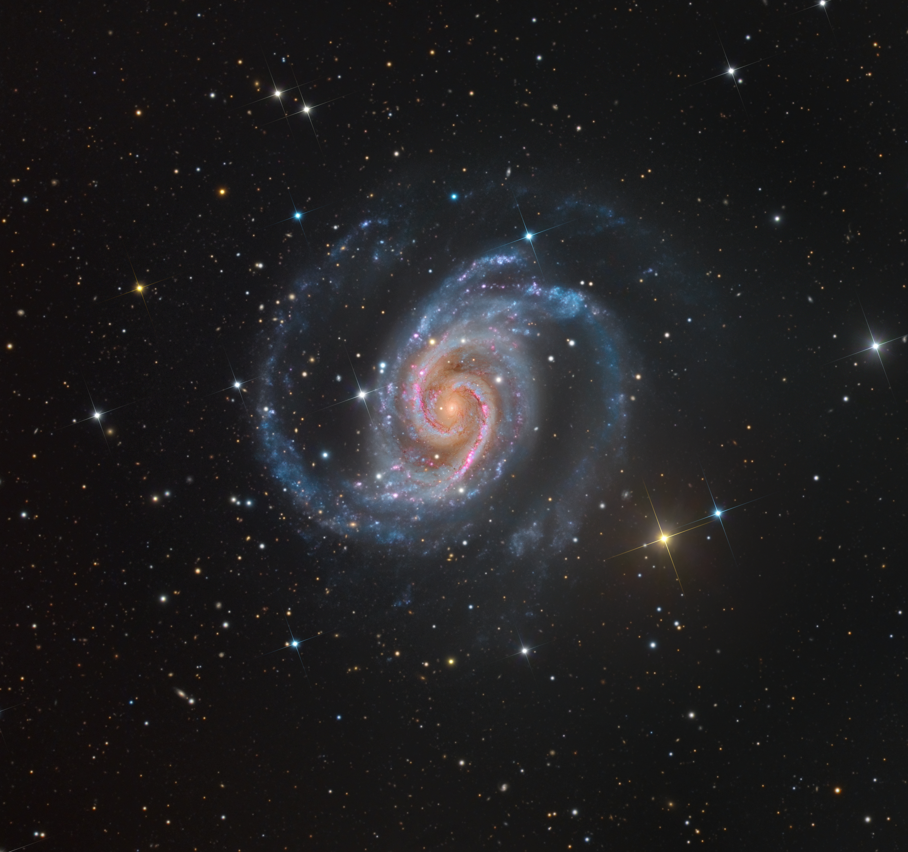 NGC 1566 