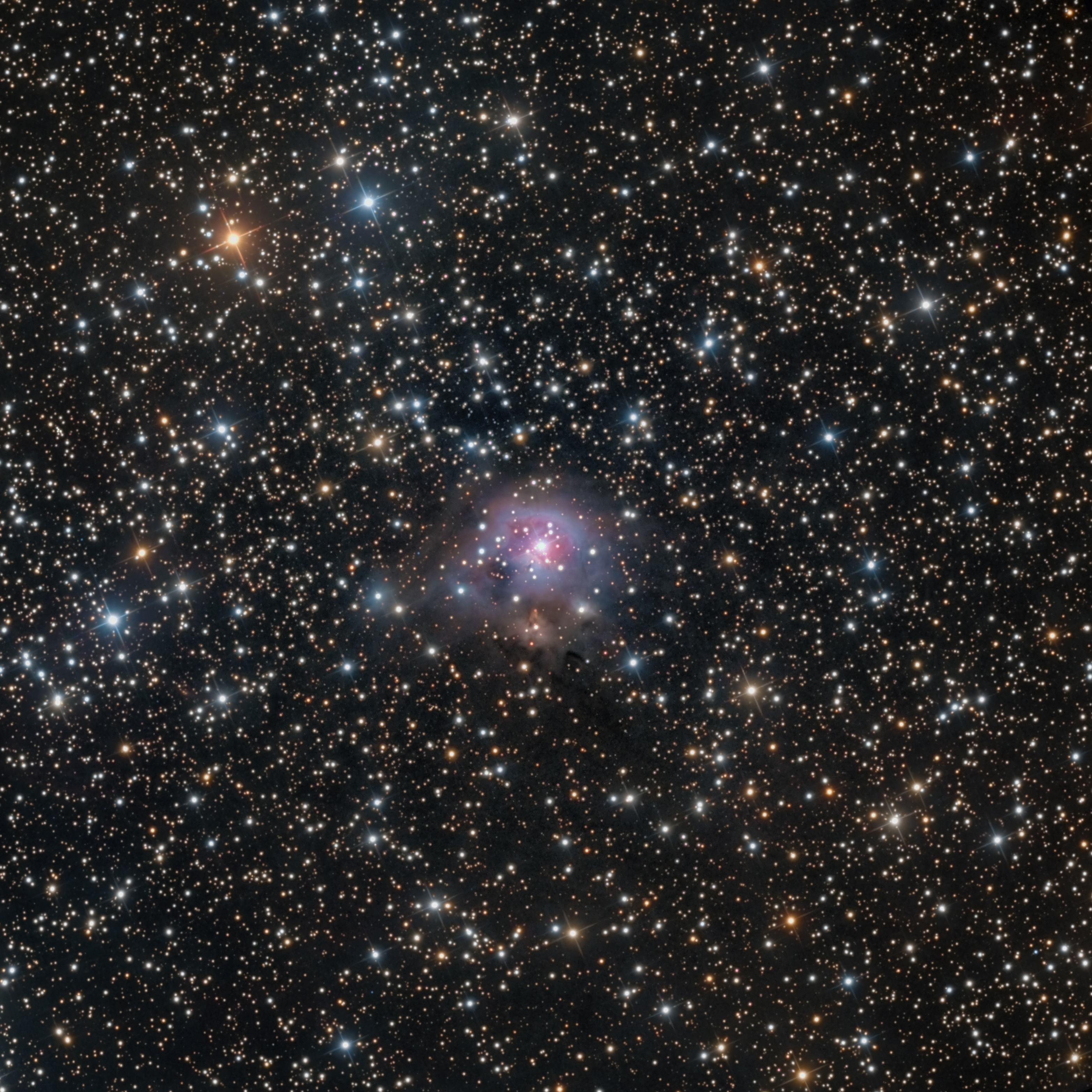 NGC 2282 