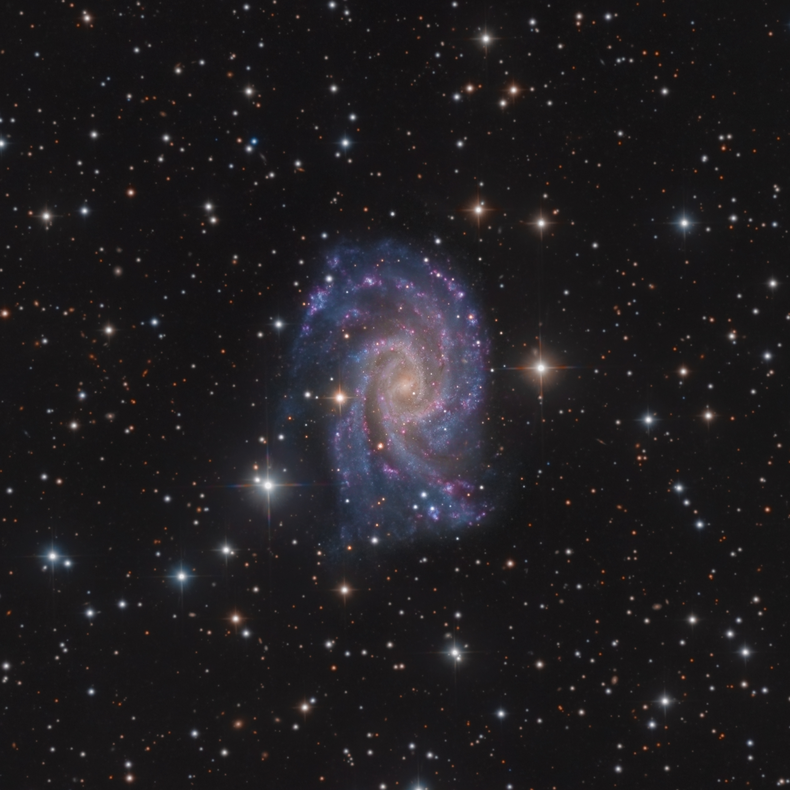 NGC 2835 