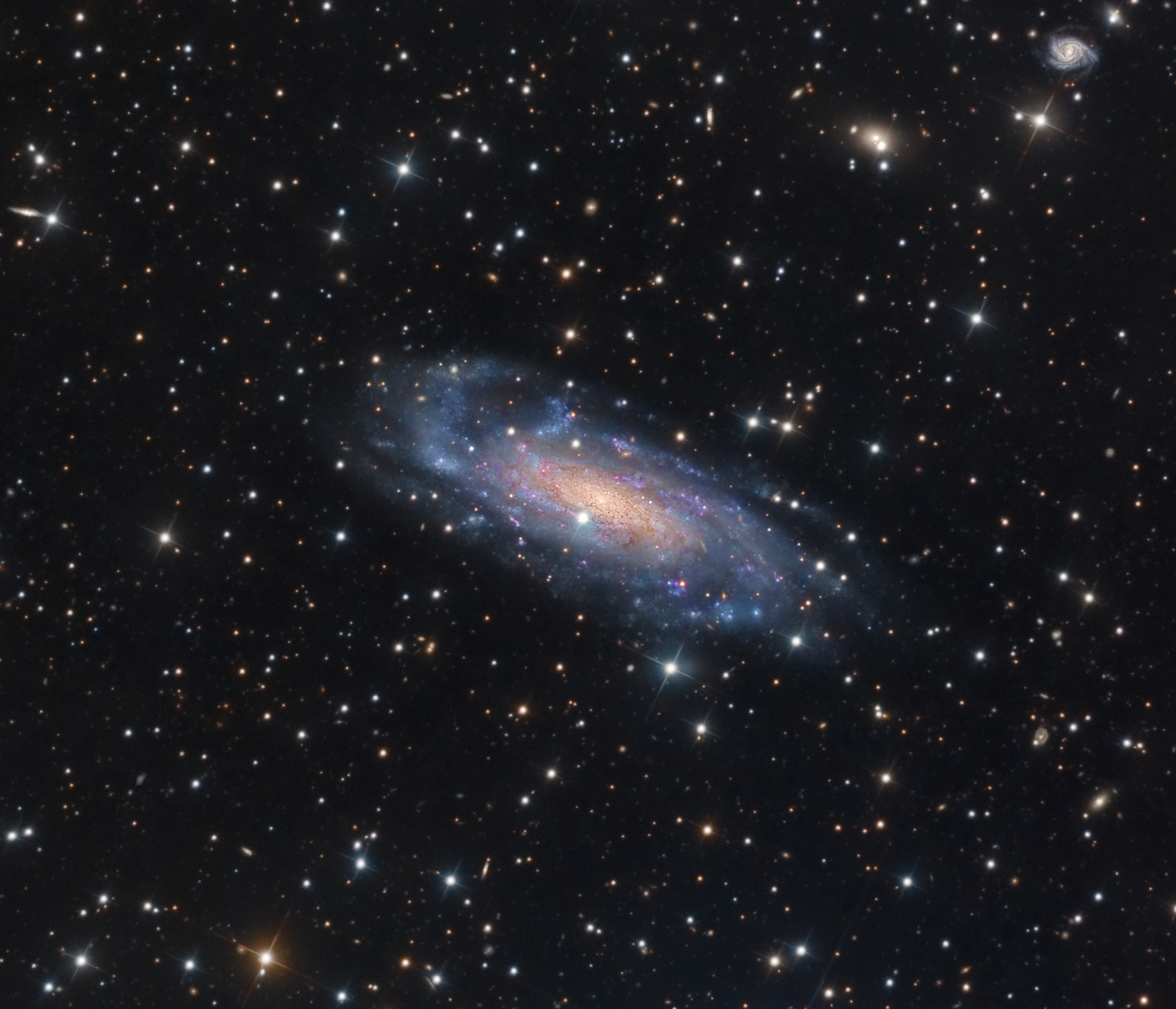 NGC 3137