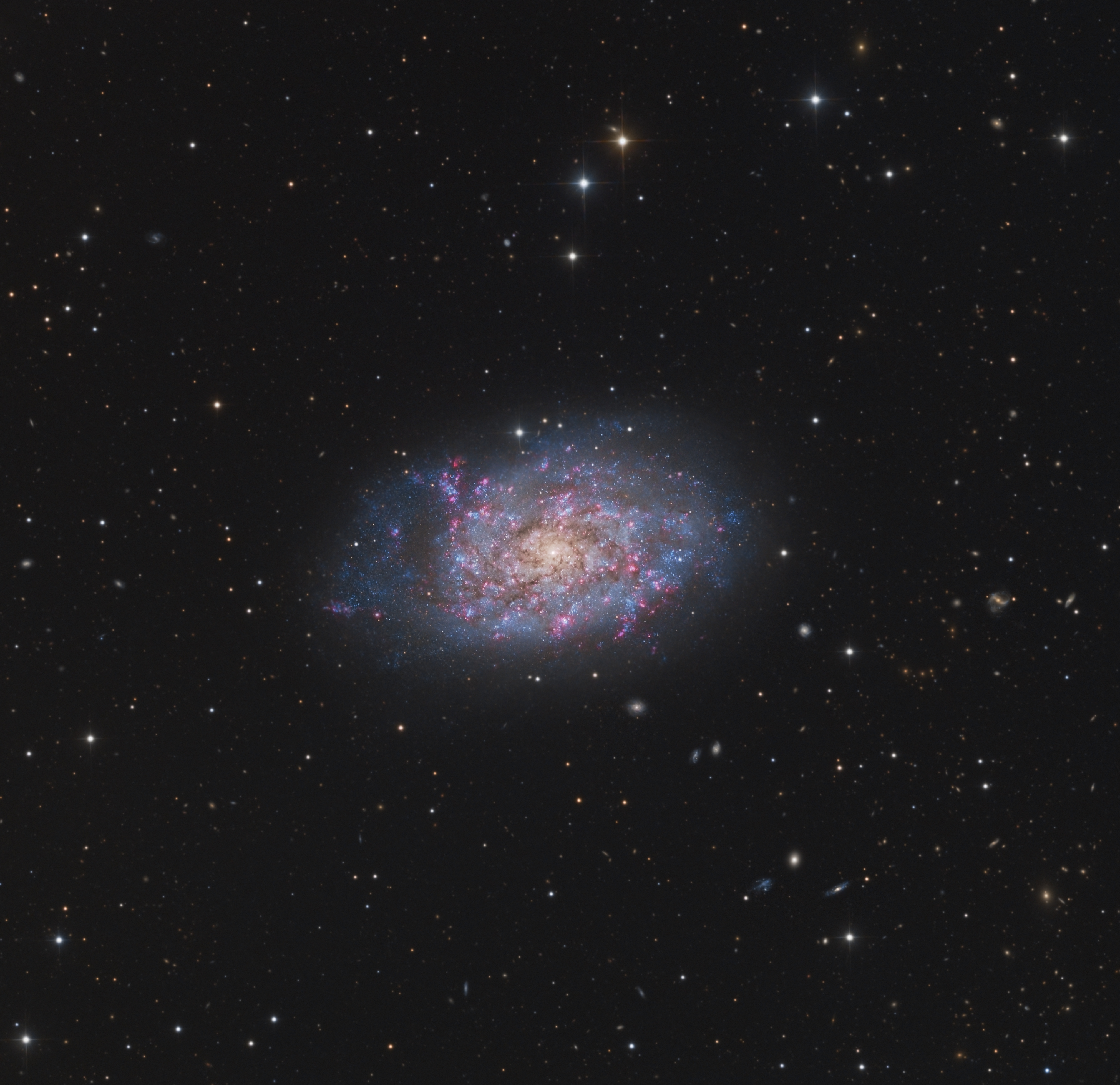 NGC 7793 
