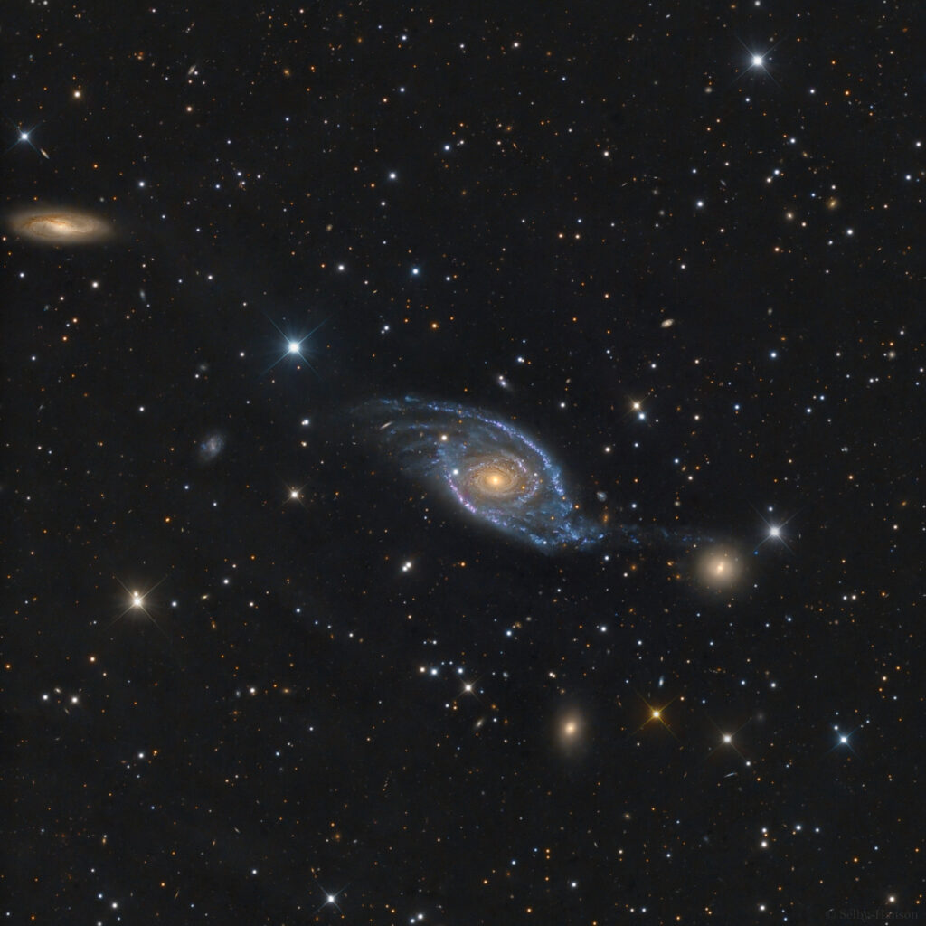 NGC 1954