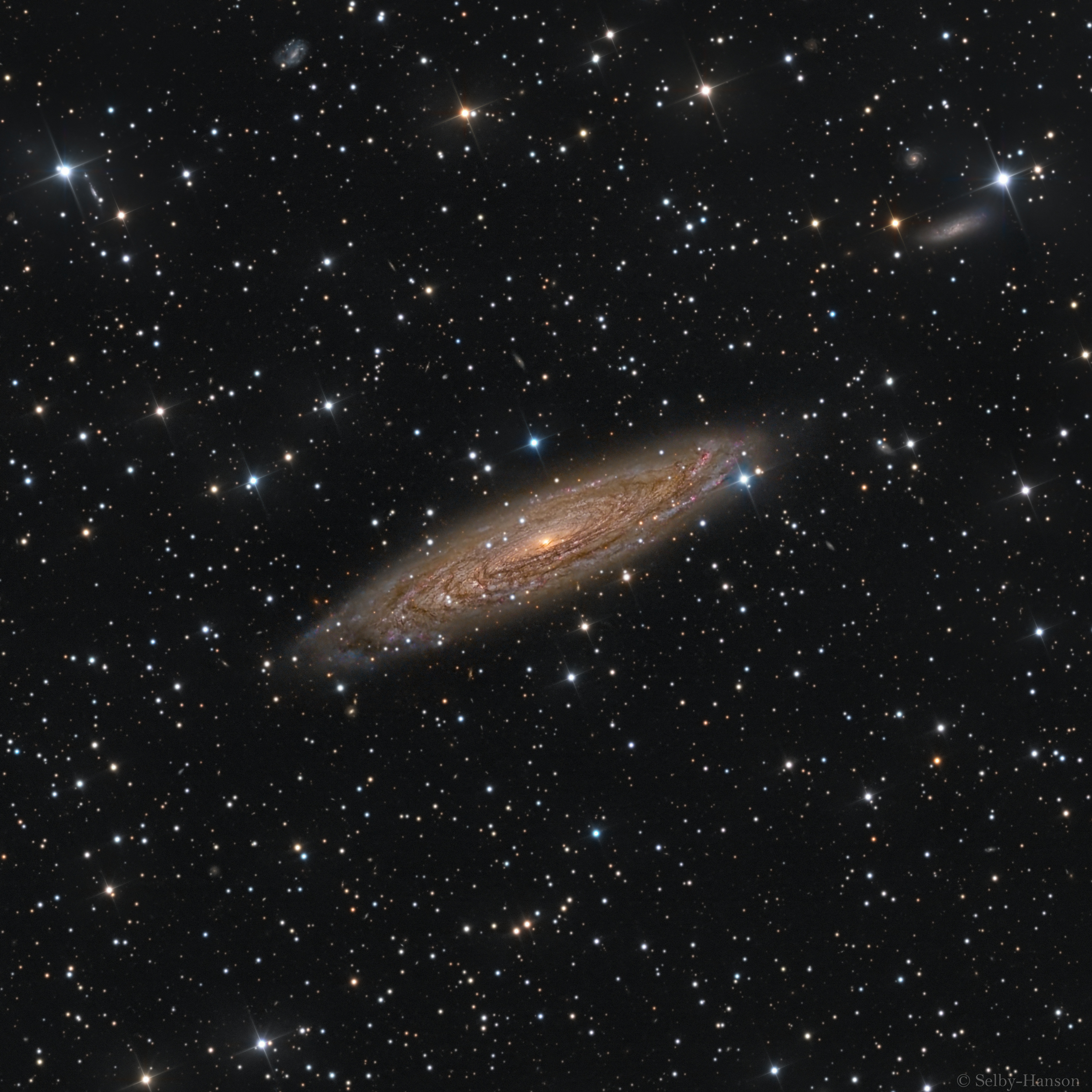NGC 2613