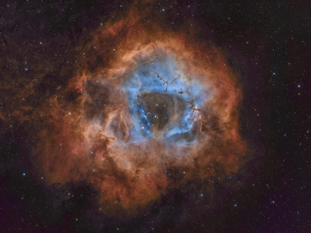 NGC 2239.
