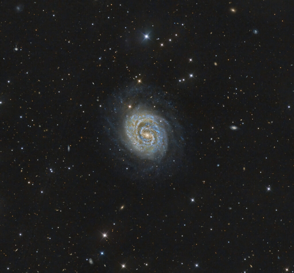NGC 1637