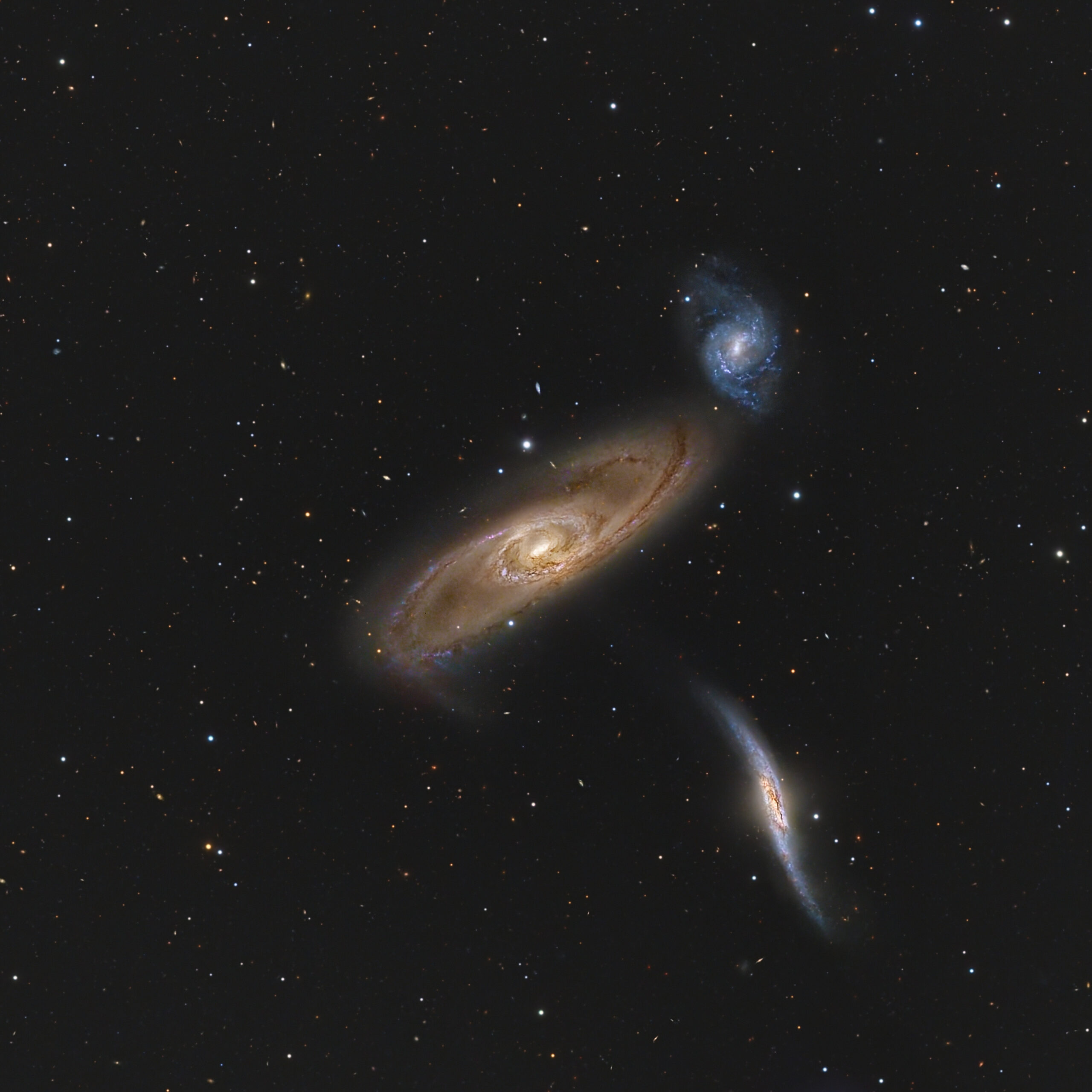 NGC 5566