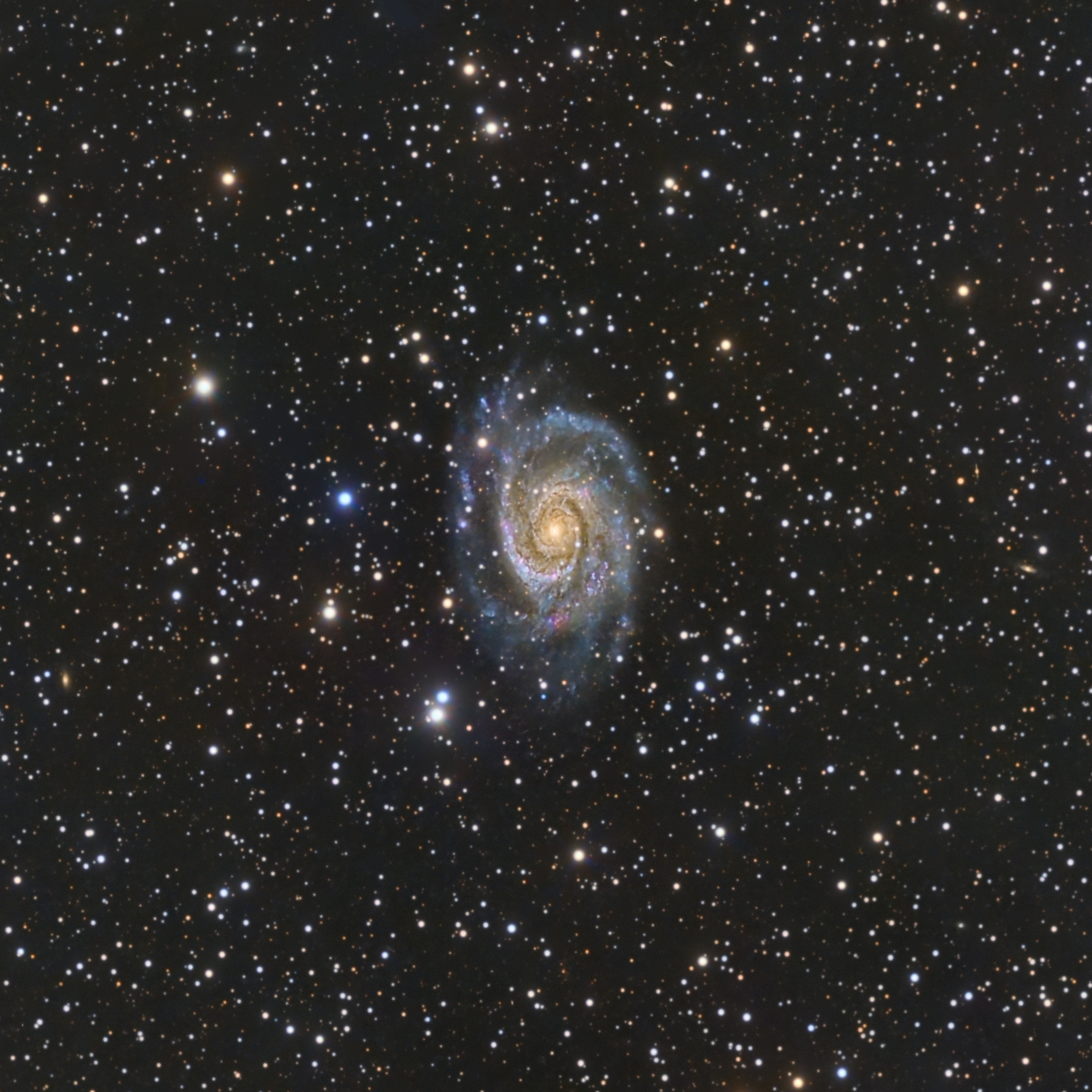 IC 4646