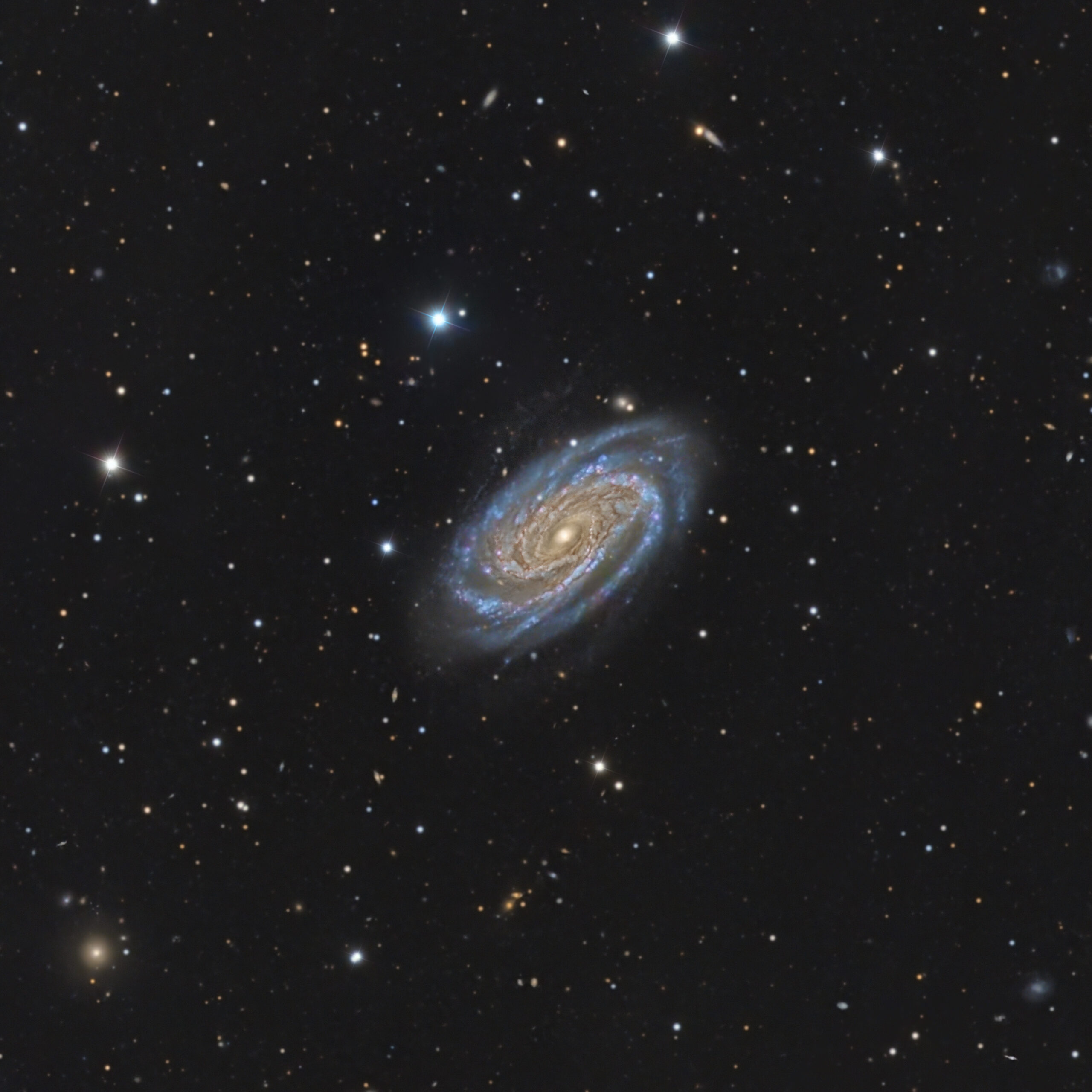 NGC 7038