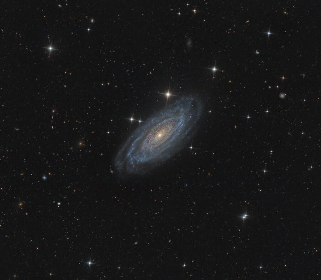NGC 1425