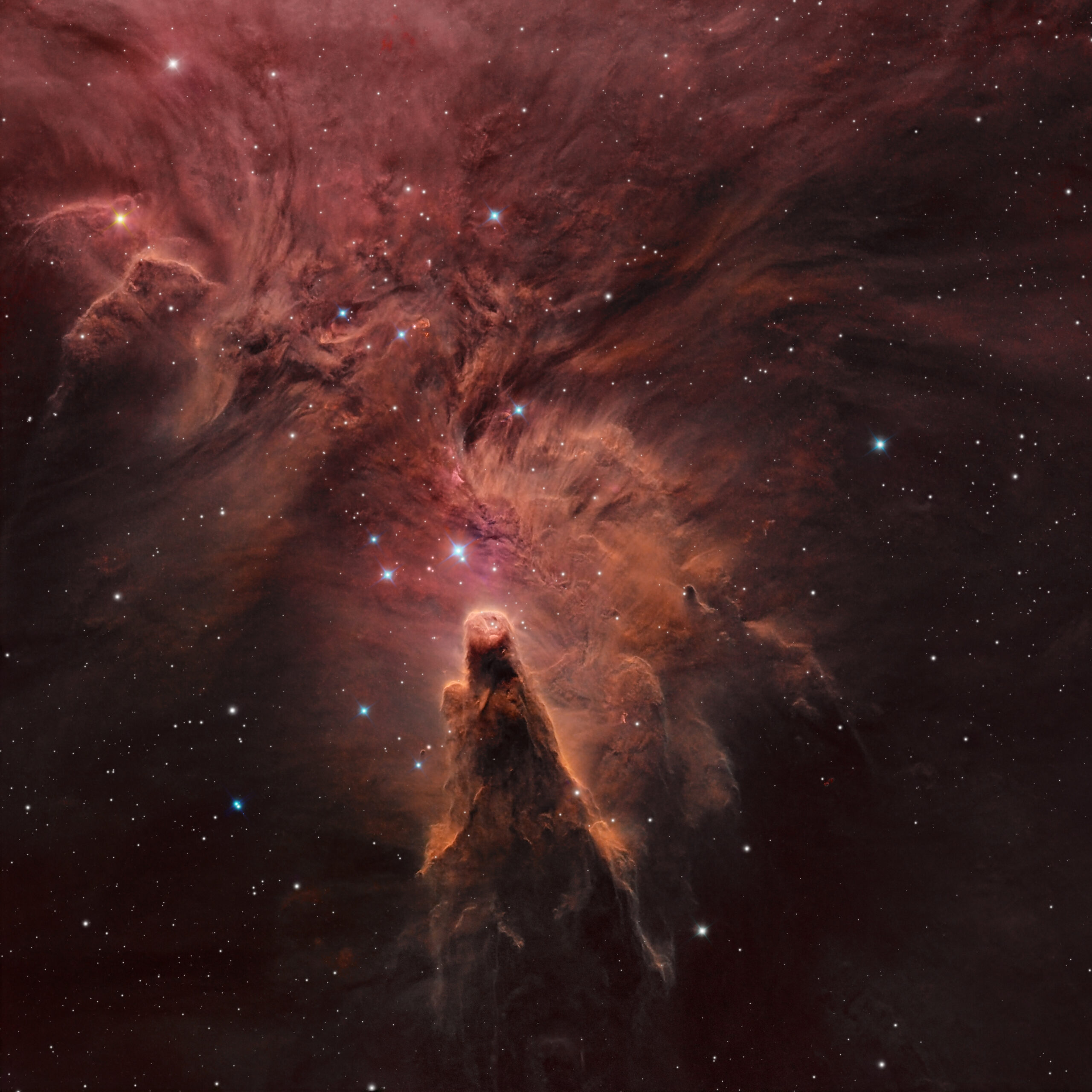 The Cone Nebula