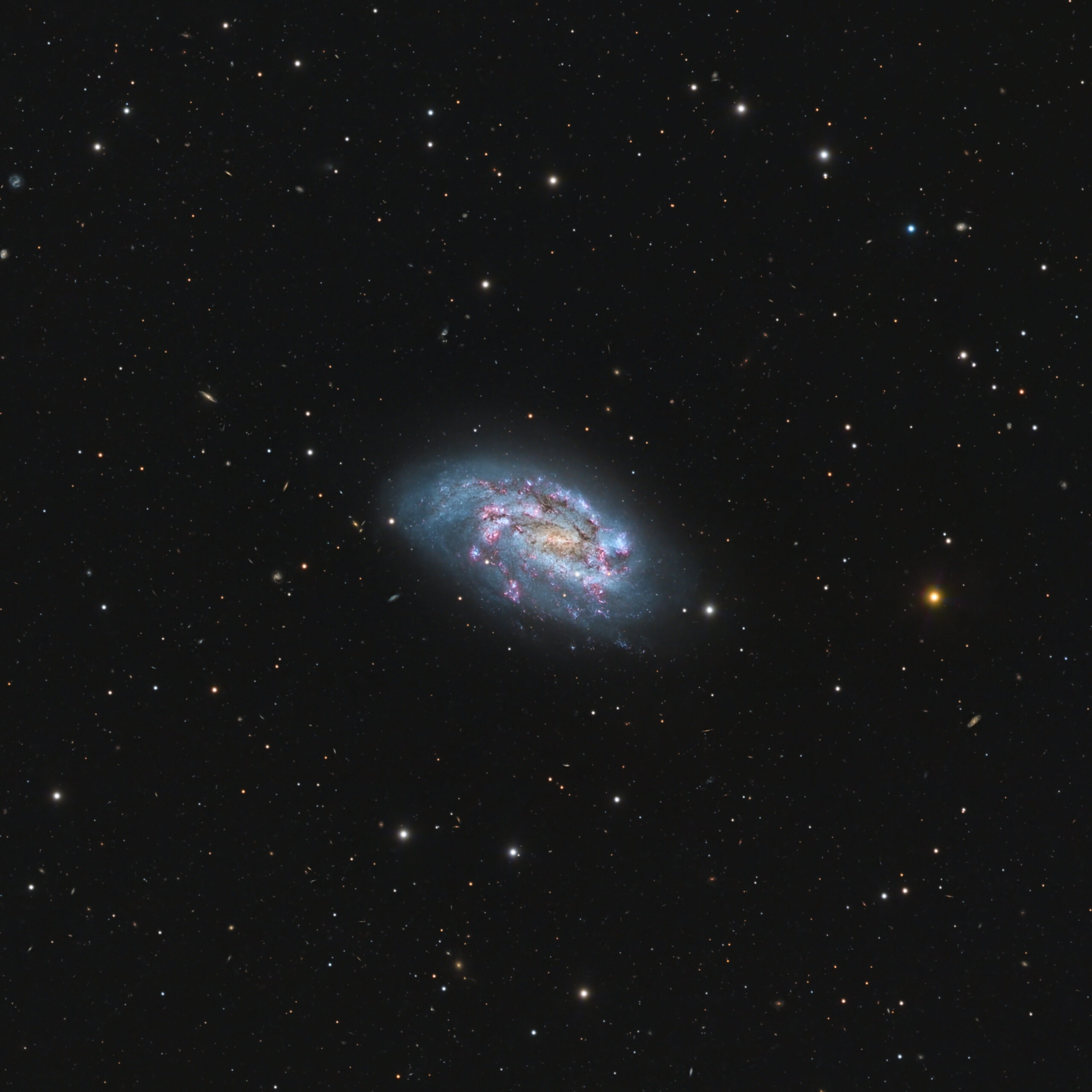 NGC 1559