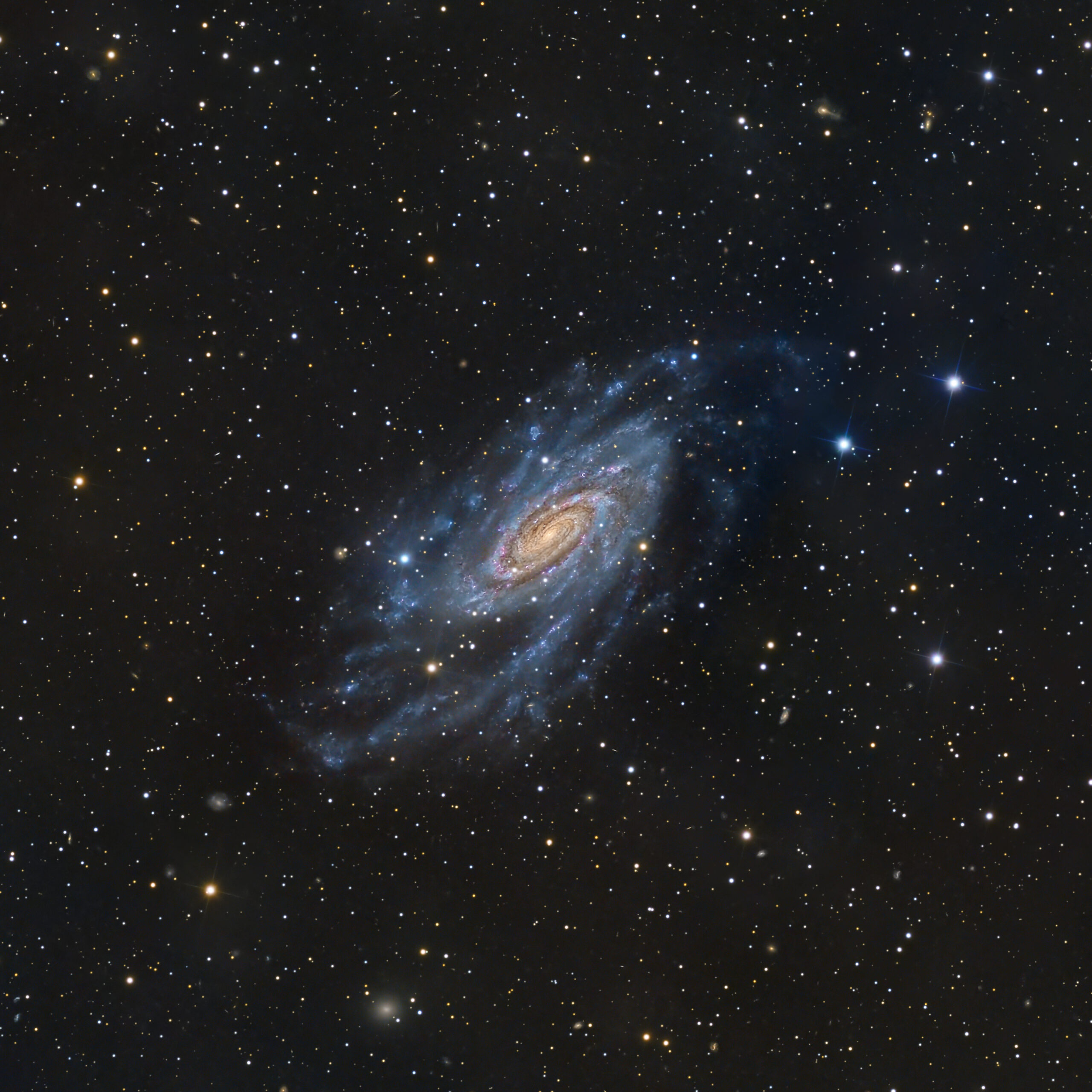 NGC 2280