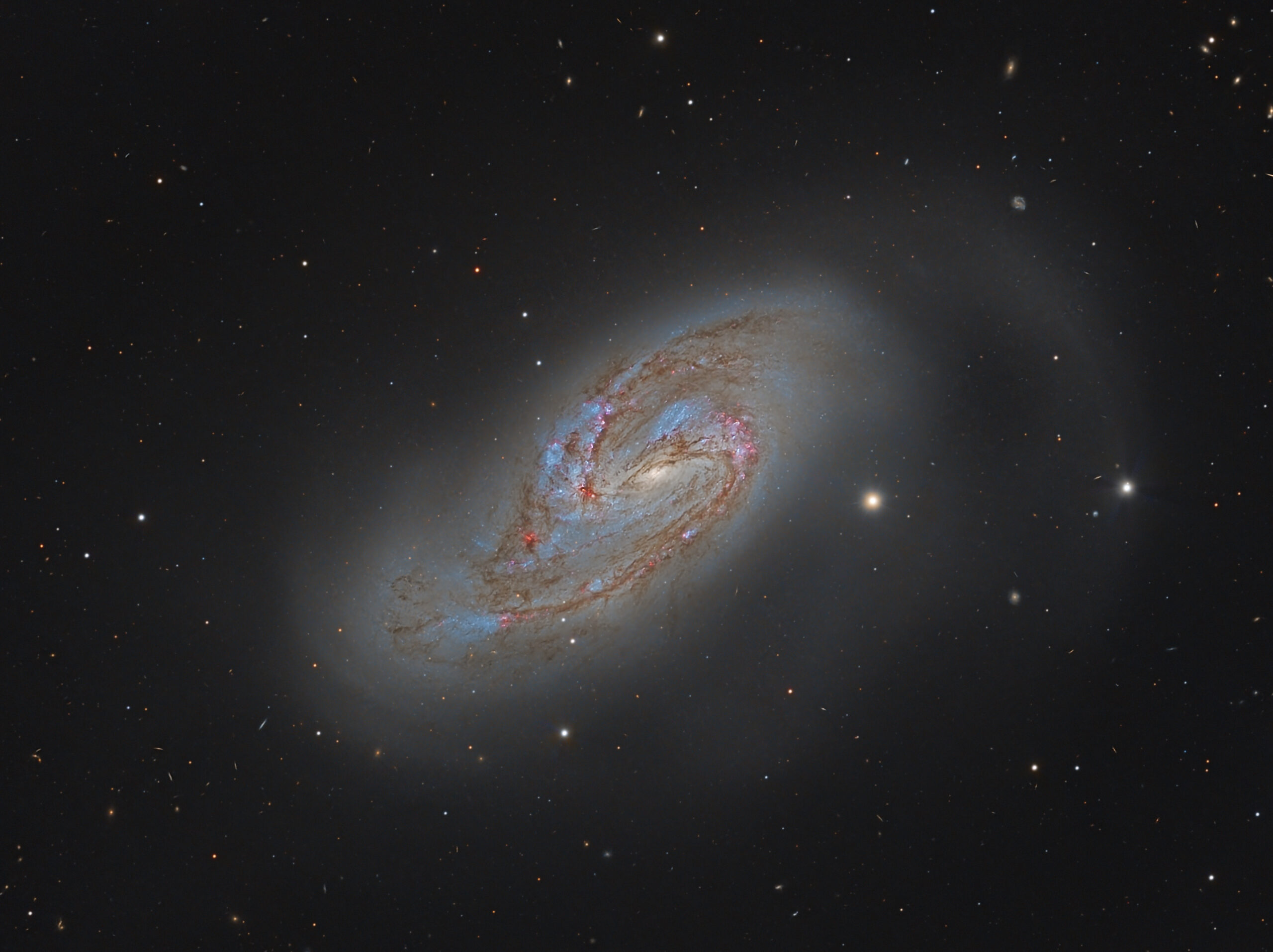 M66 (NGC 3627)