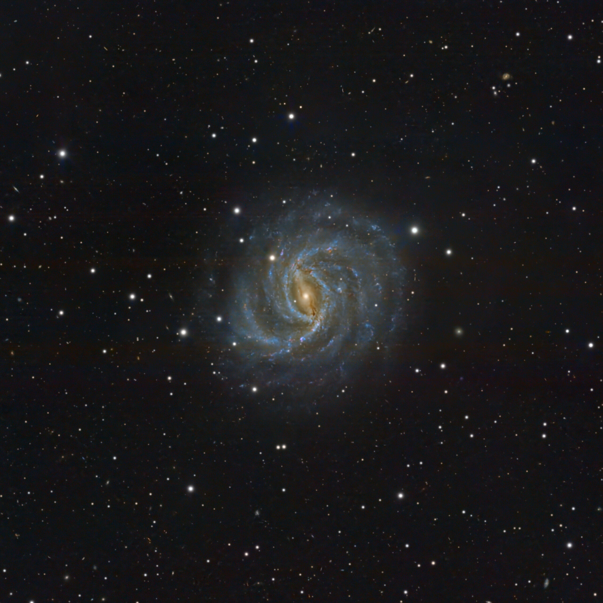 NGC 5921