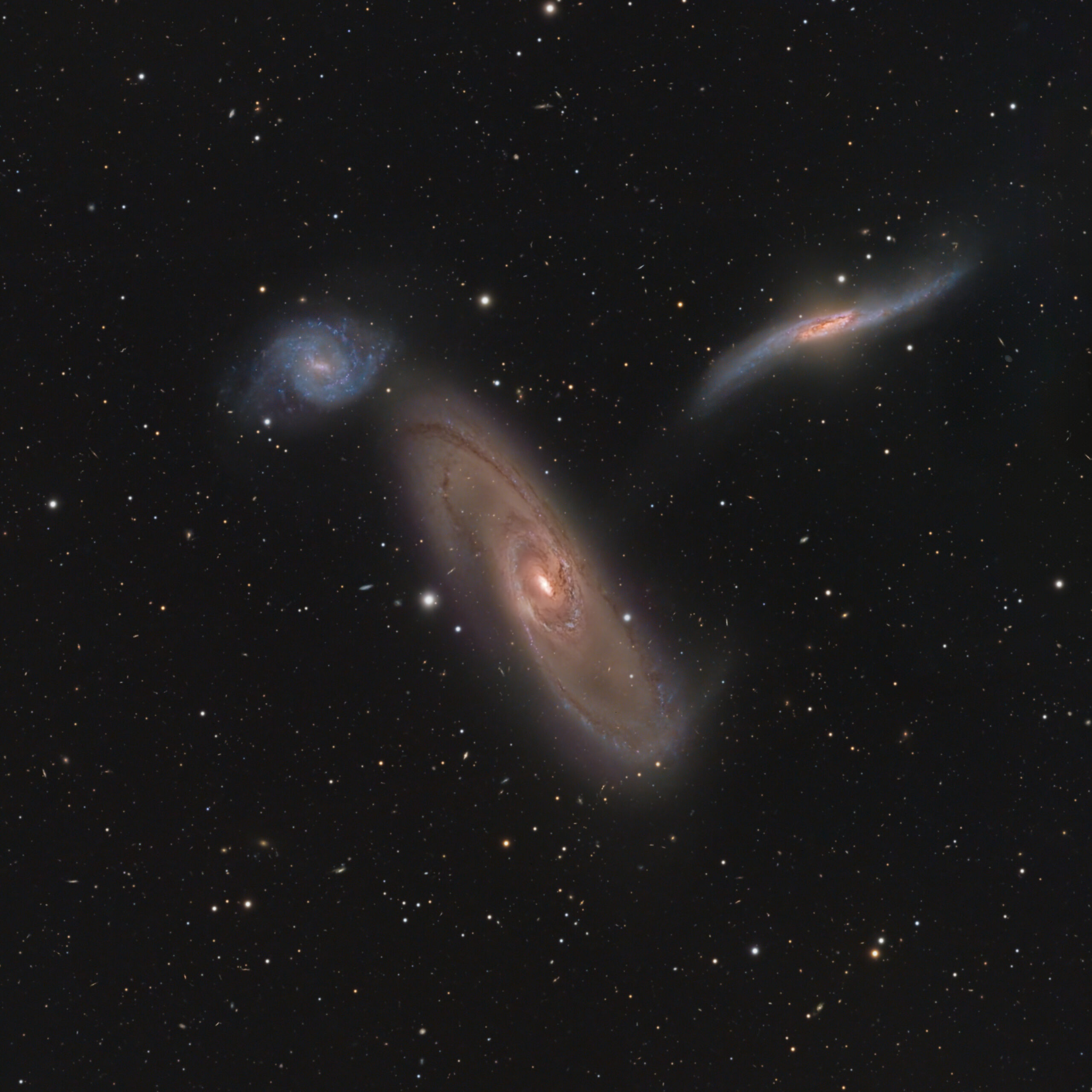 NGC 5566