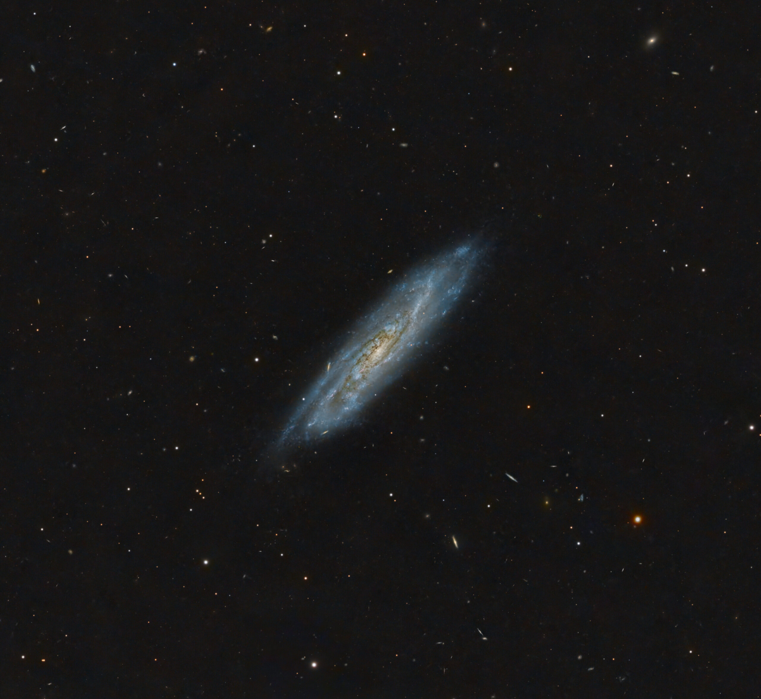 NGC 1337