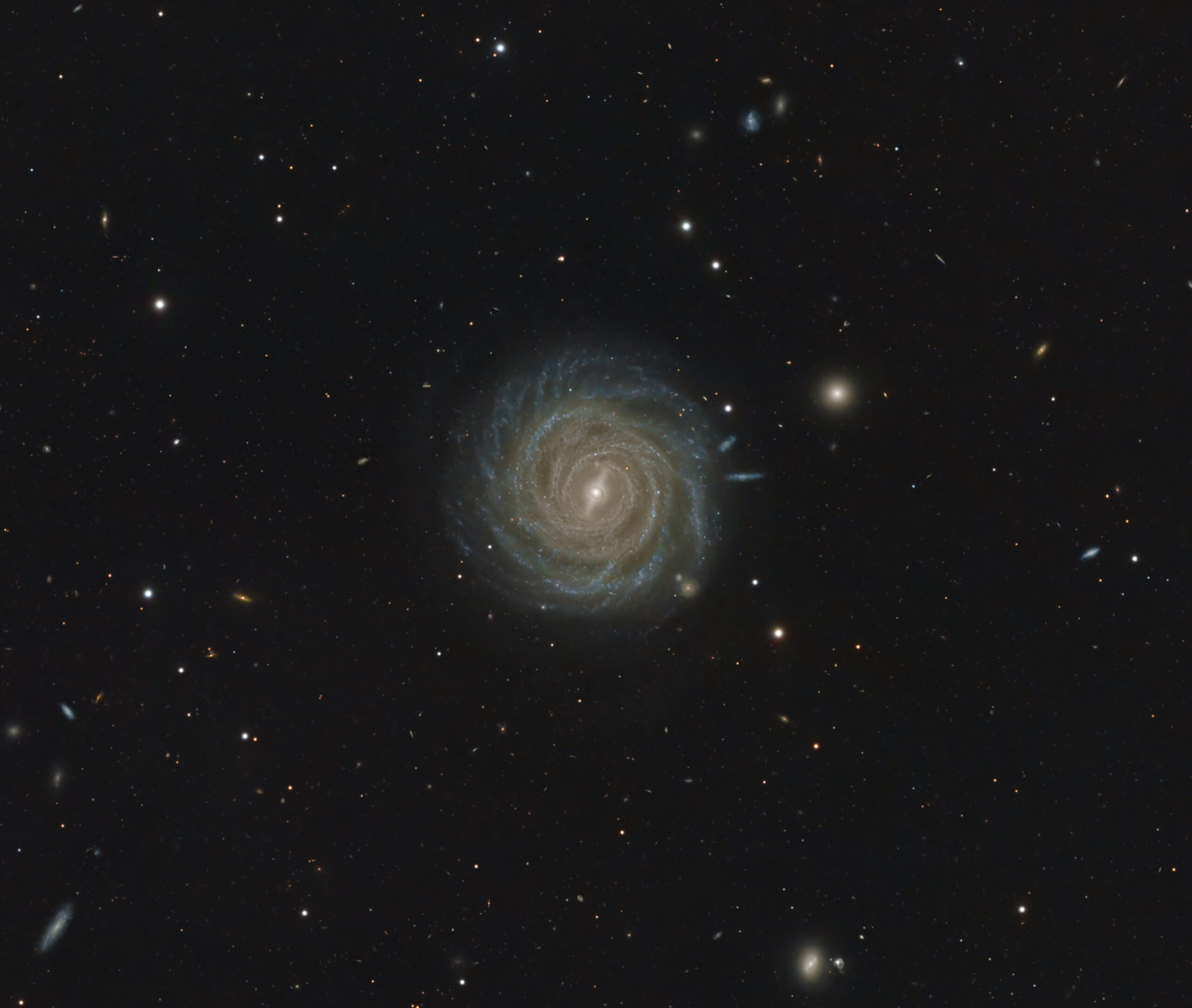 NGC 521