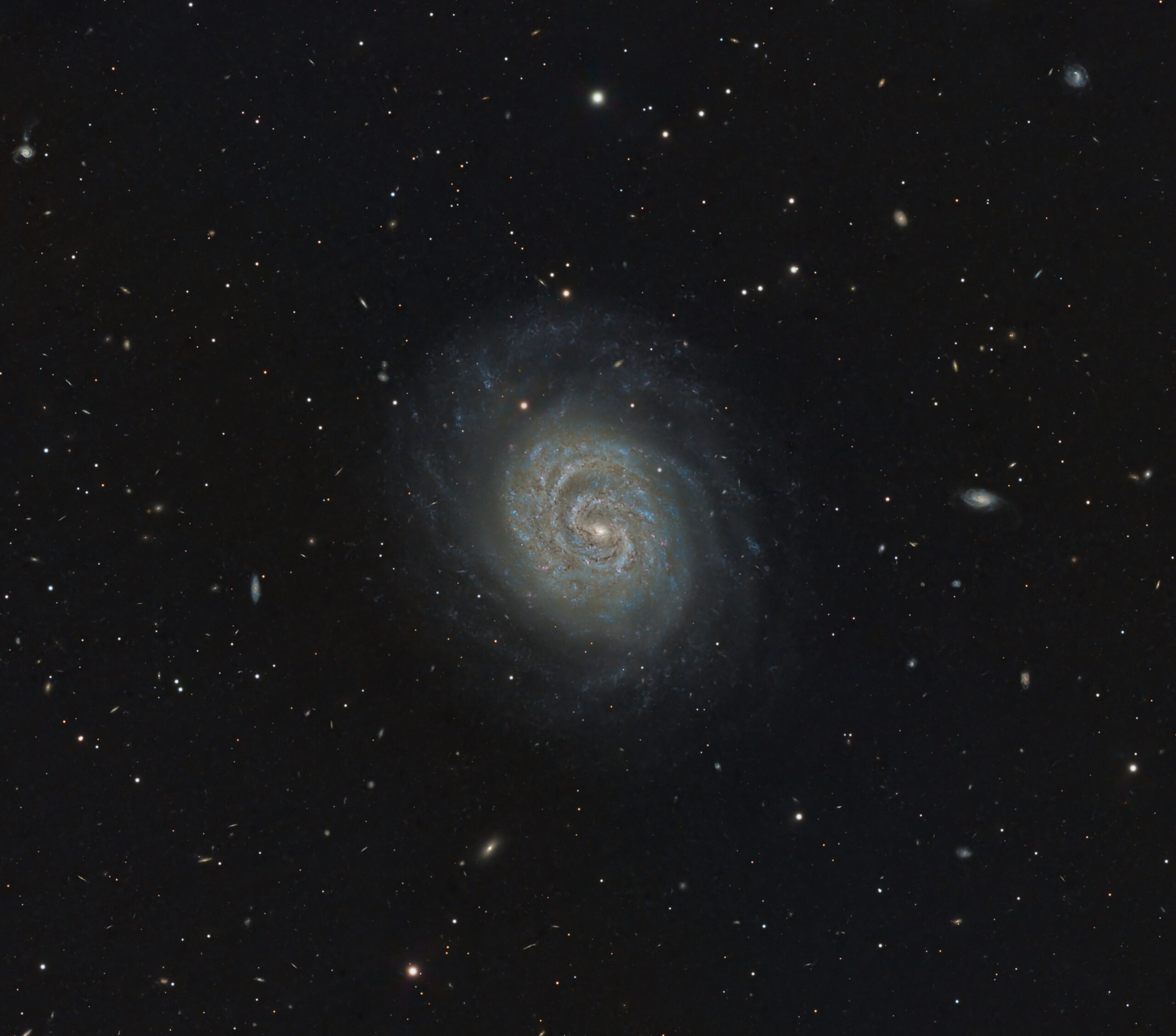 NGC 1637