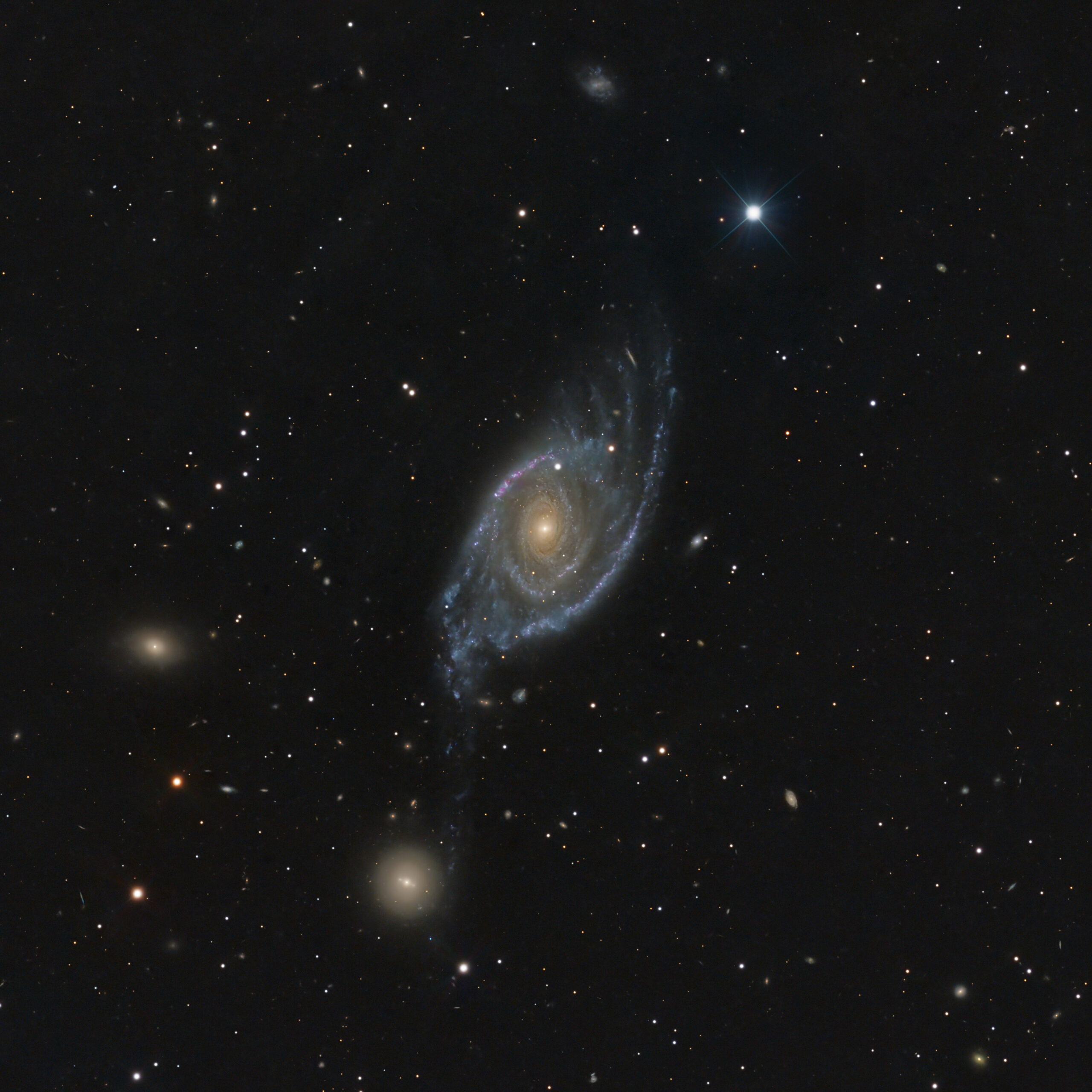 NGC 1954