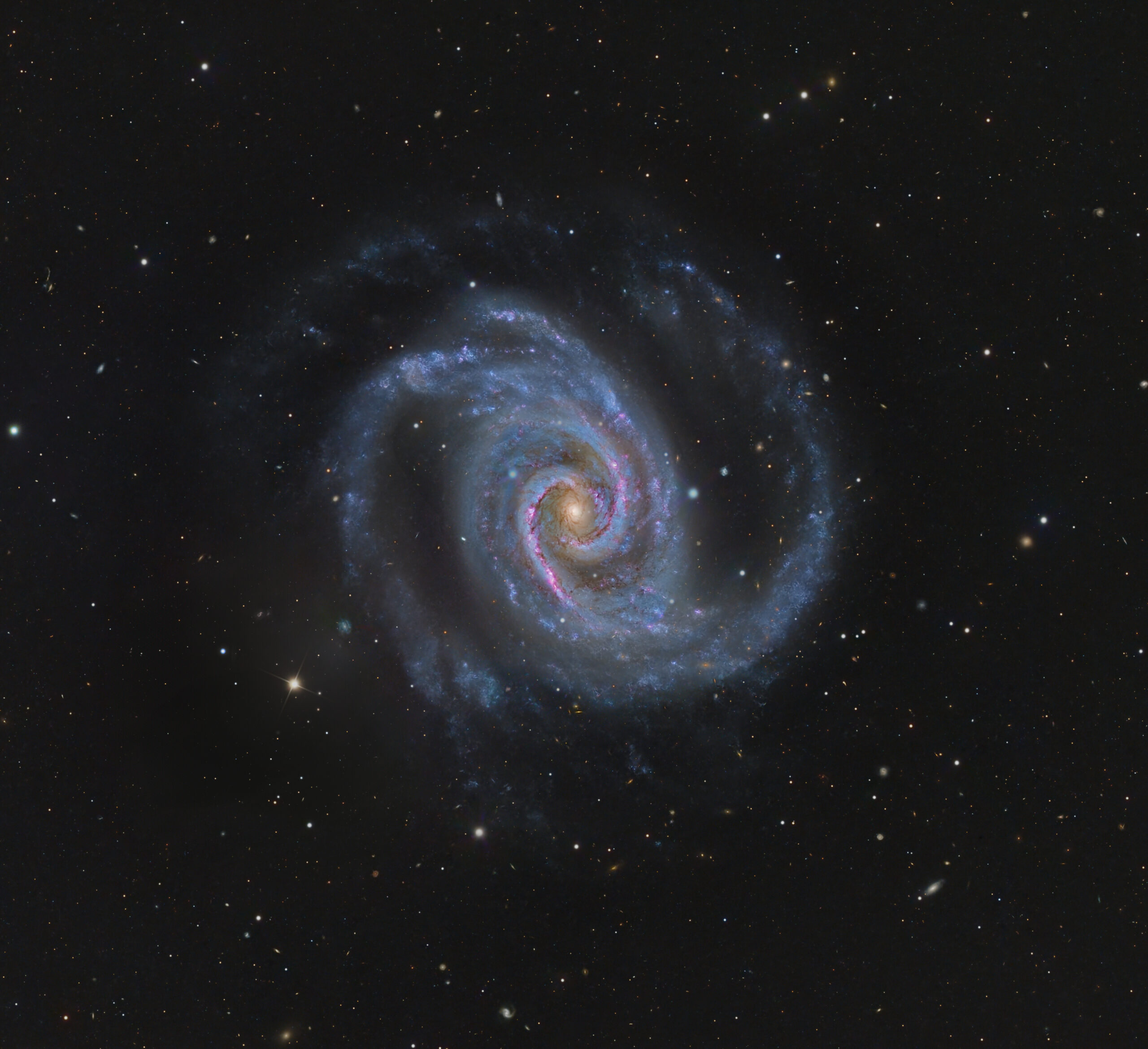 NGC 1566