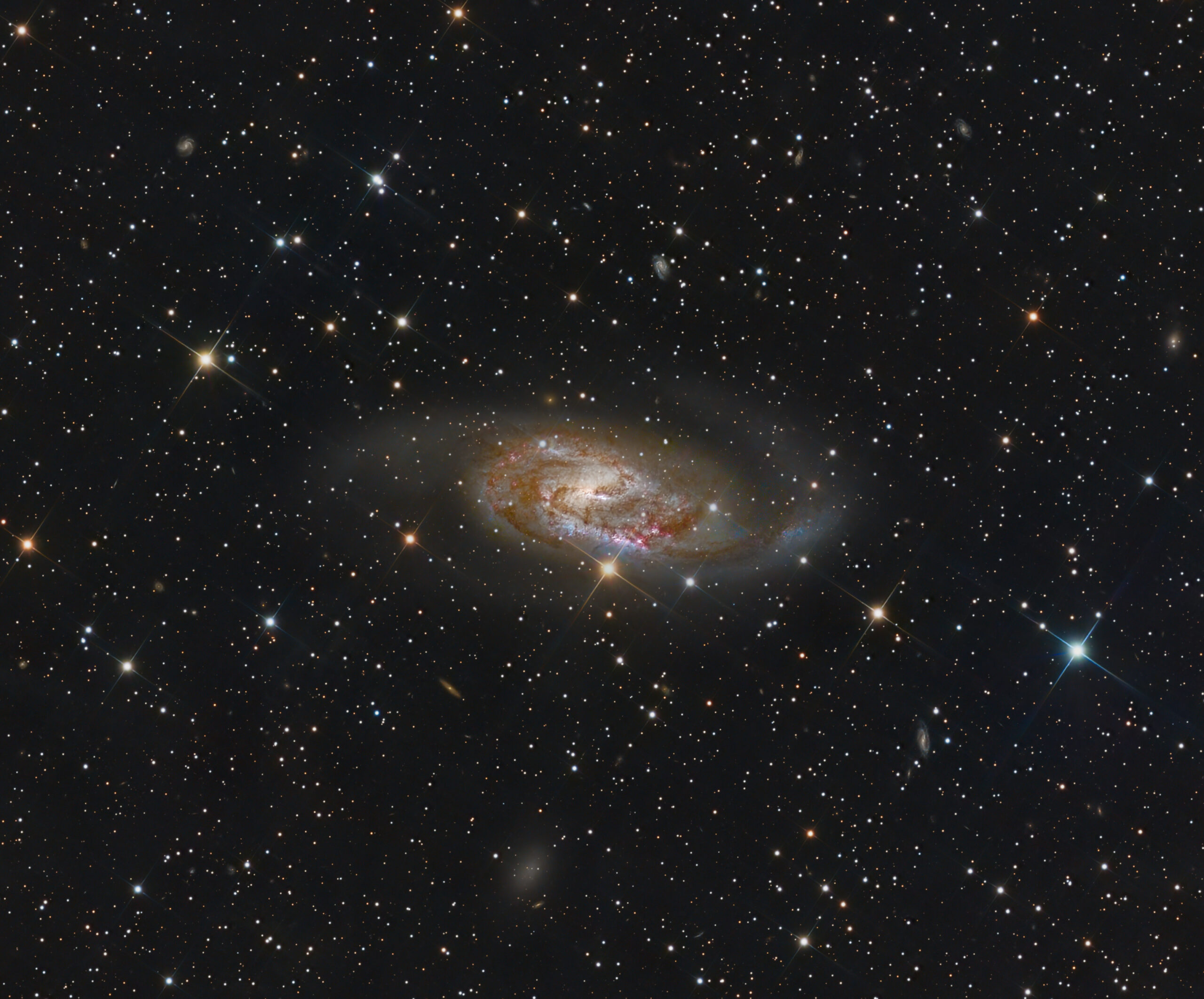 NGC 2559