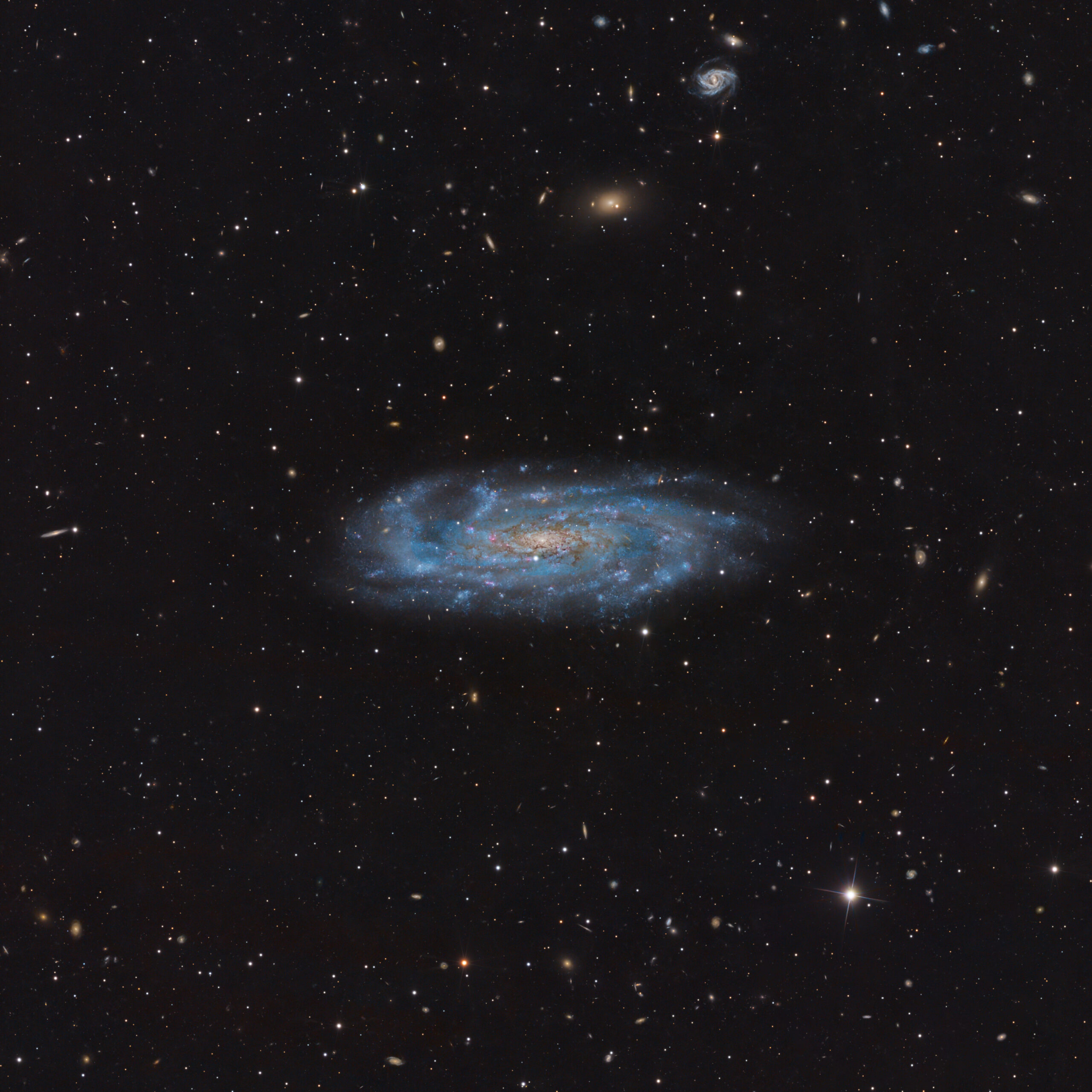 NGC 3137