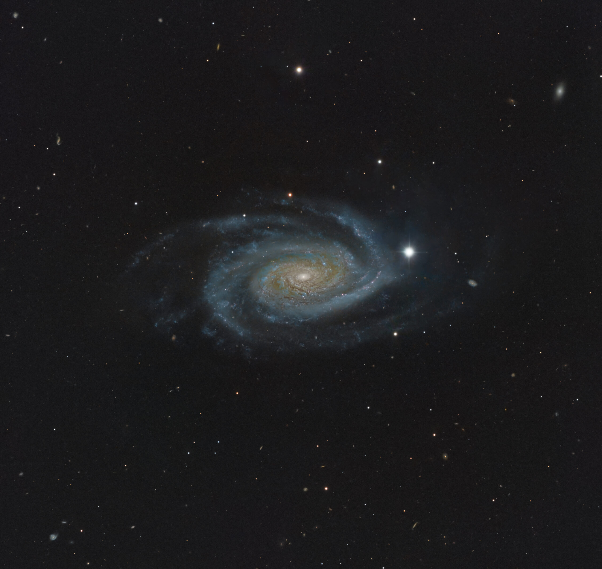 NGC 3338