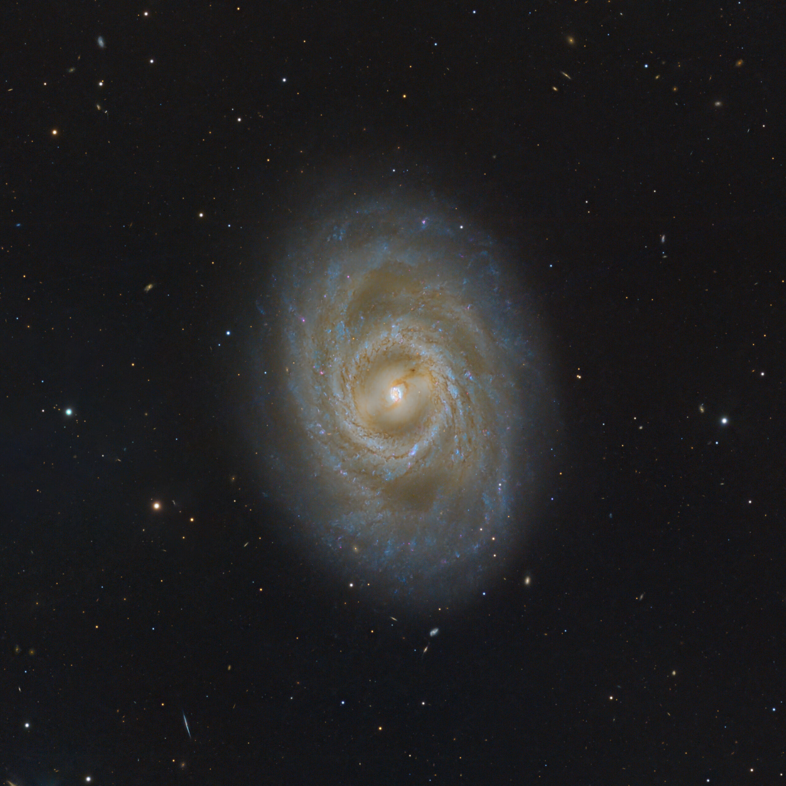 M95