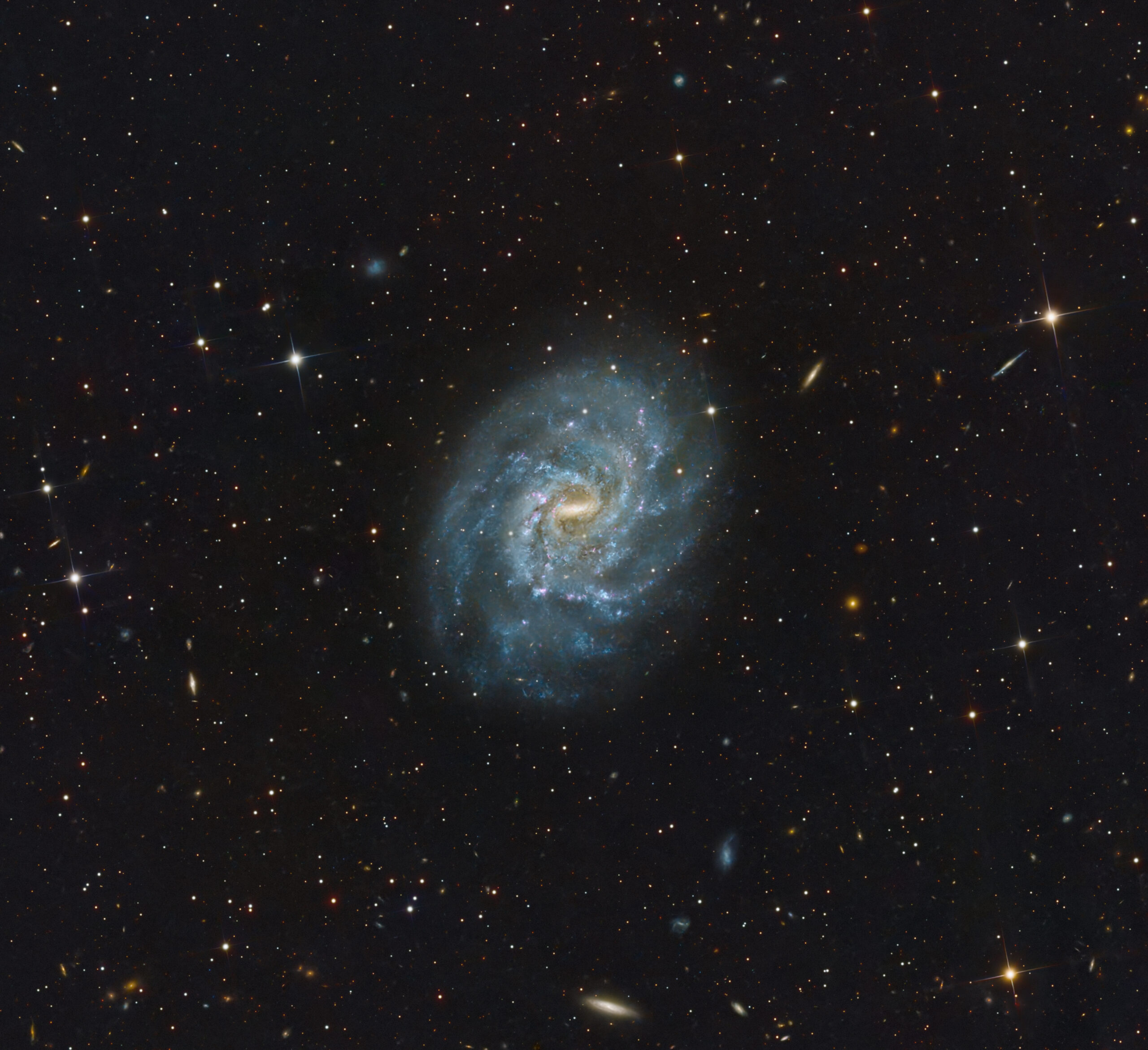 NGC 5556