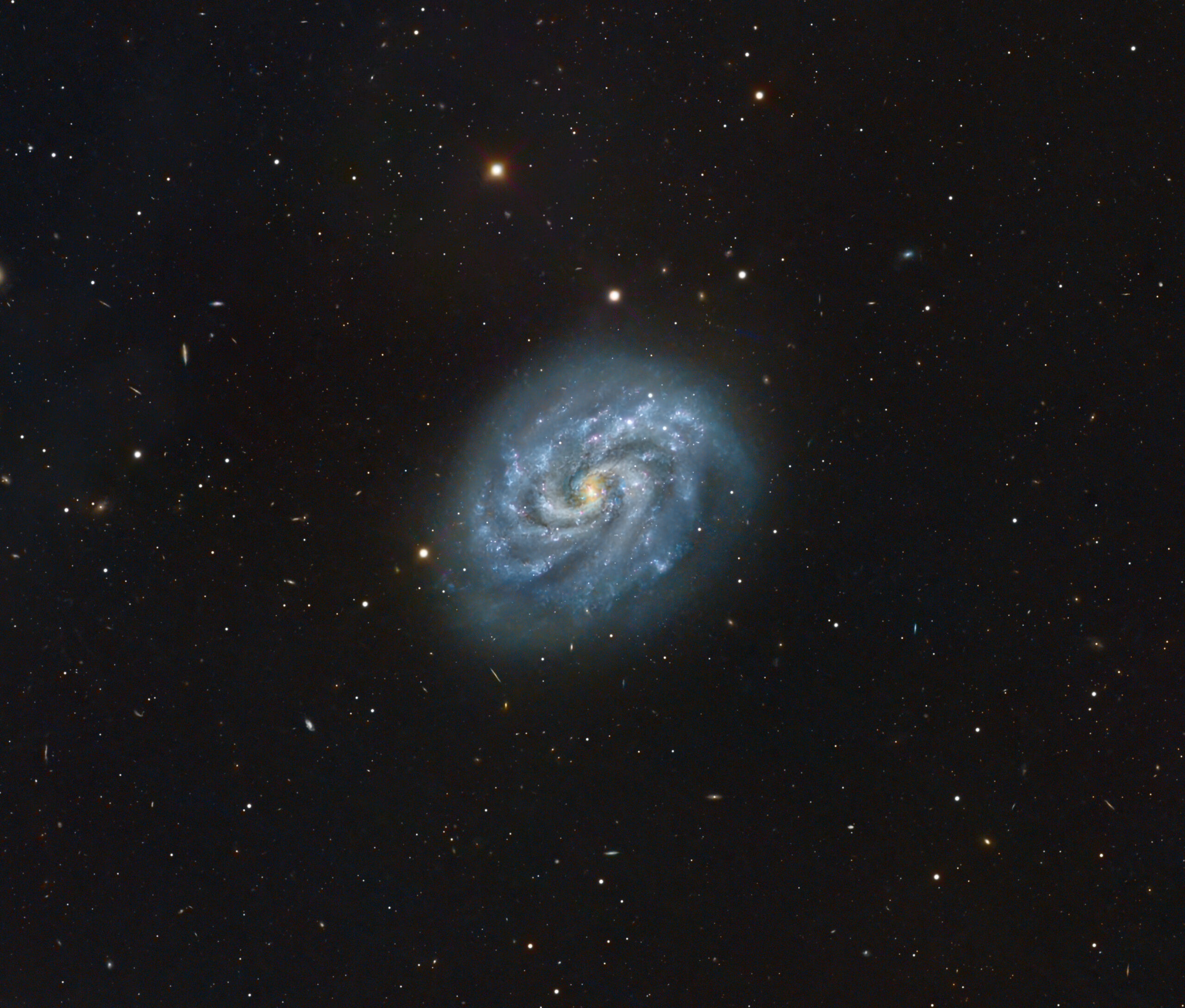 NGC 5584