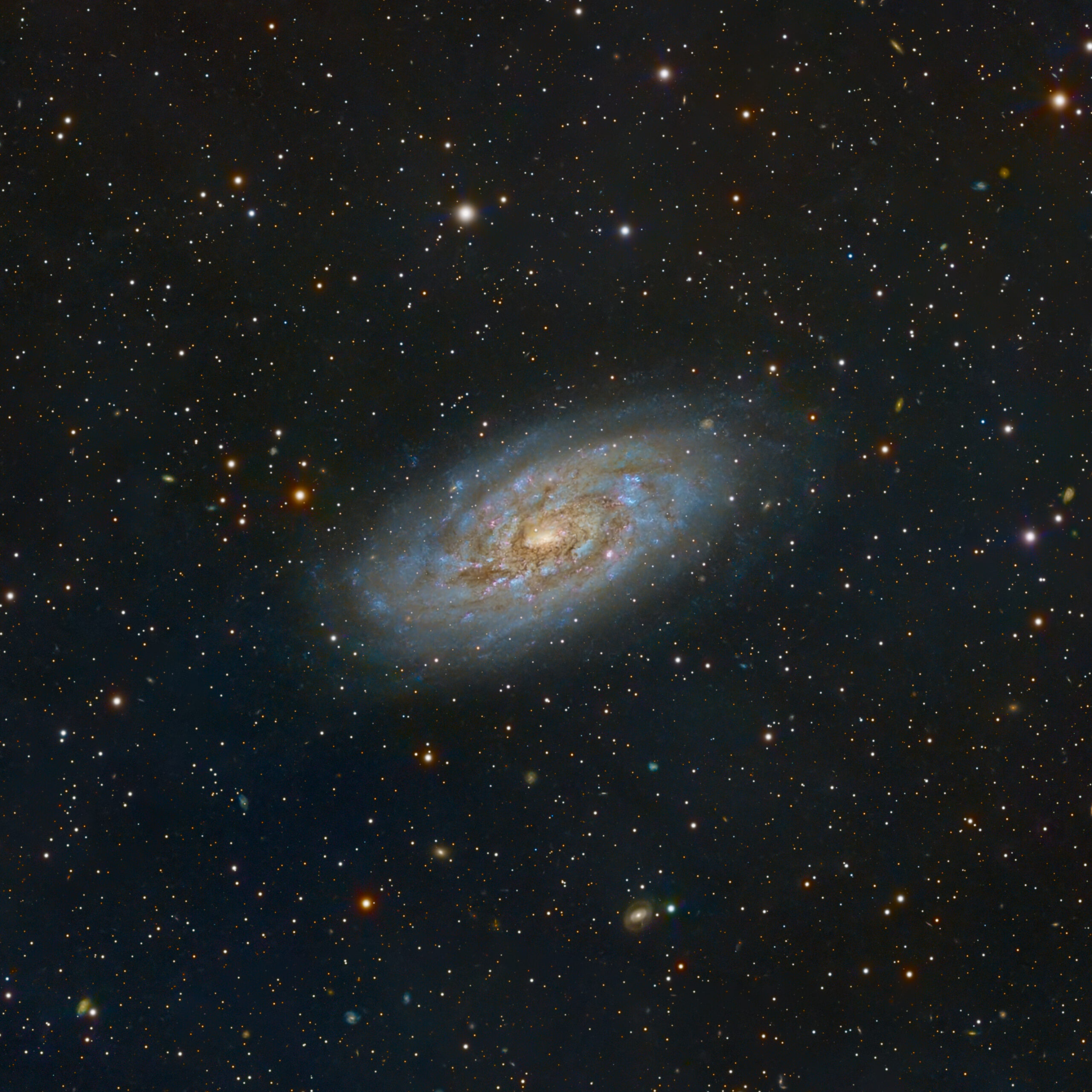 NGC 5530