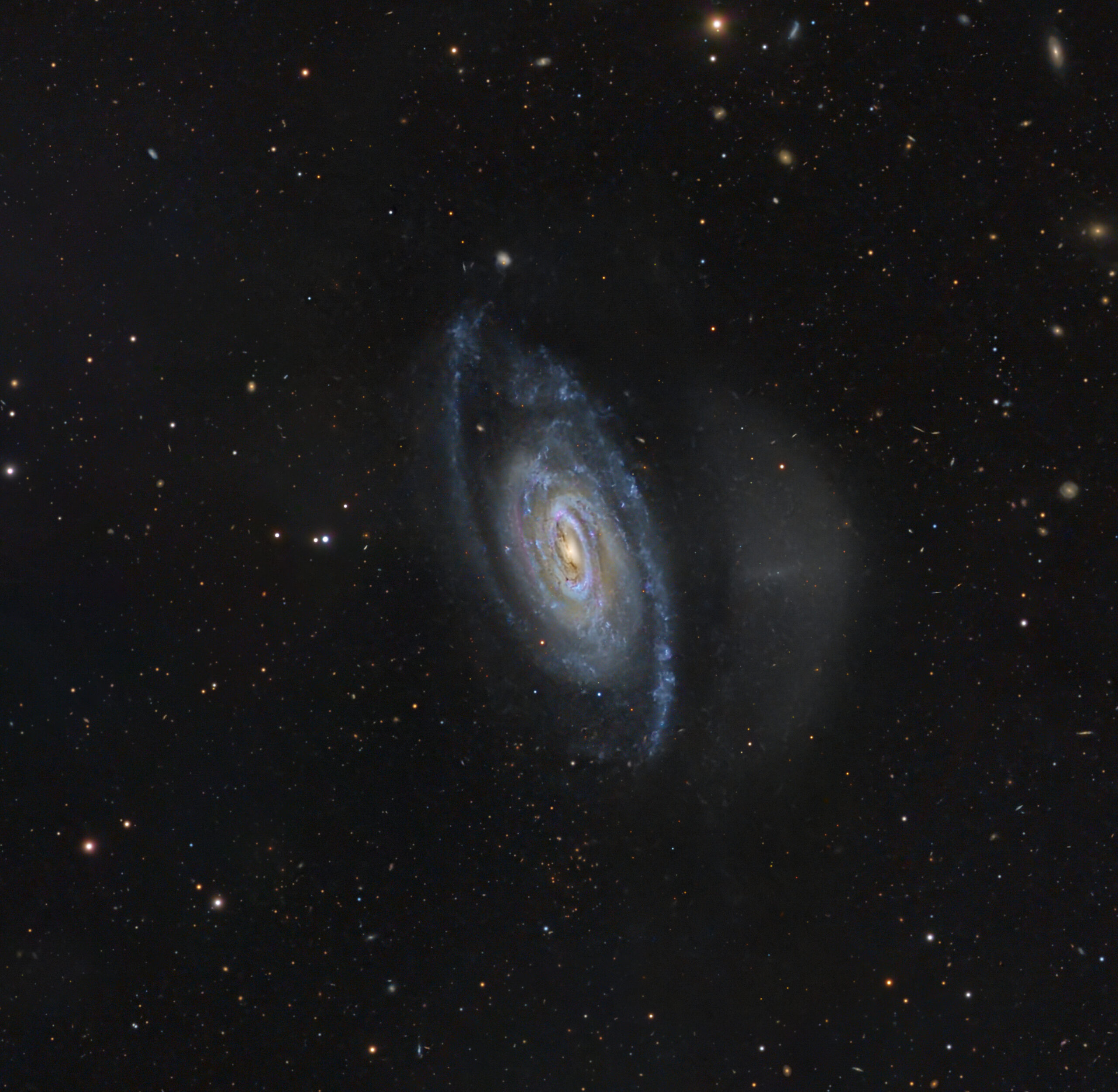 NGC 7531 