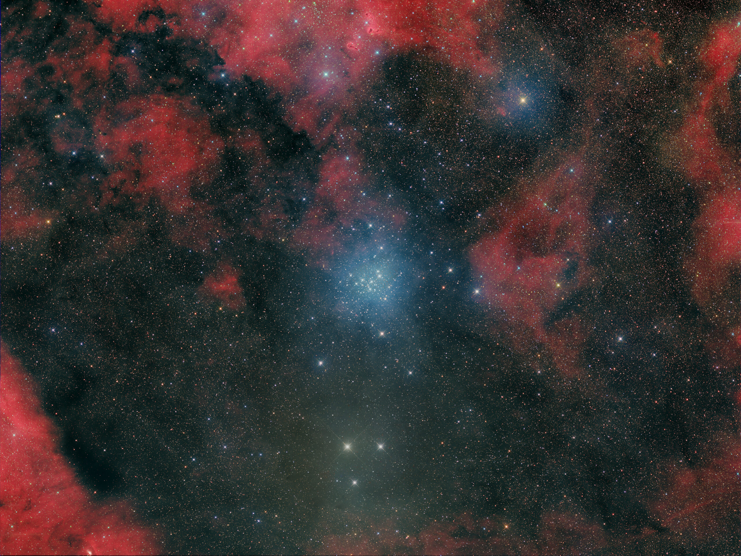 NGC 6231
