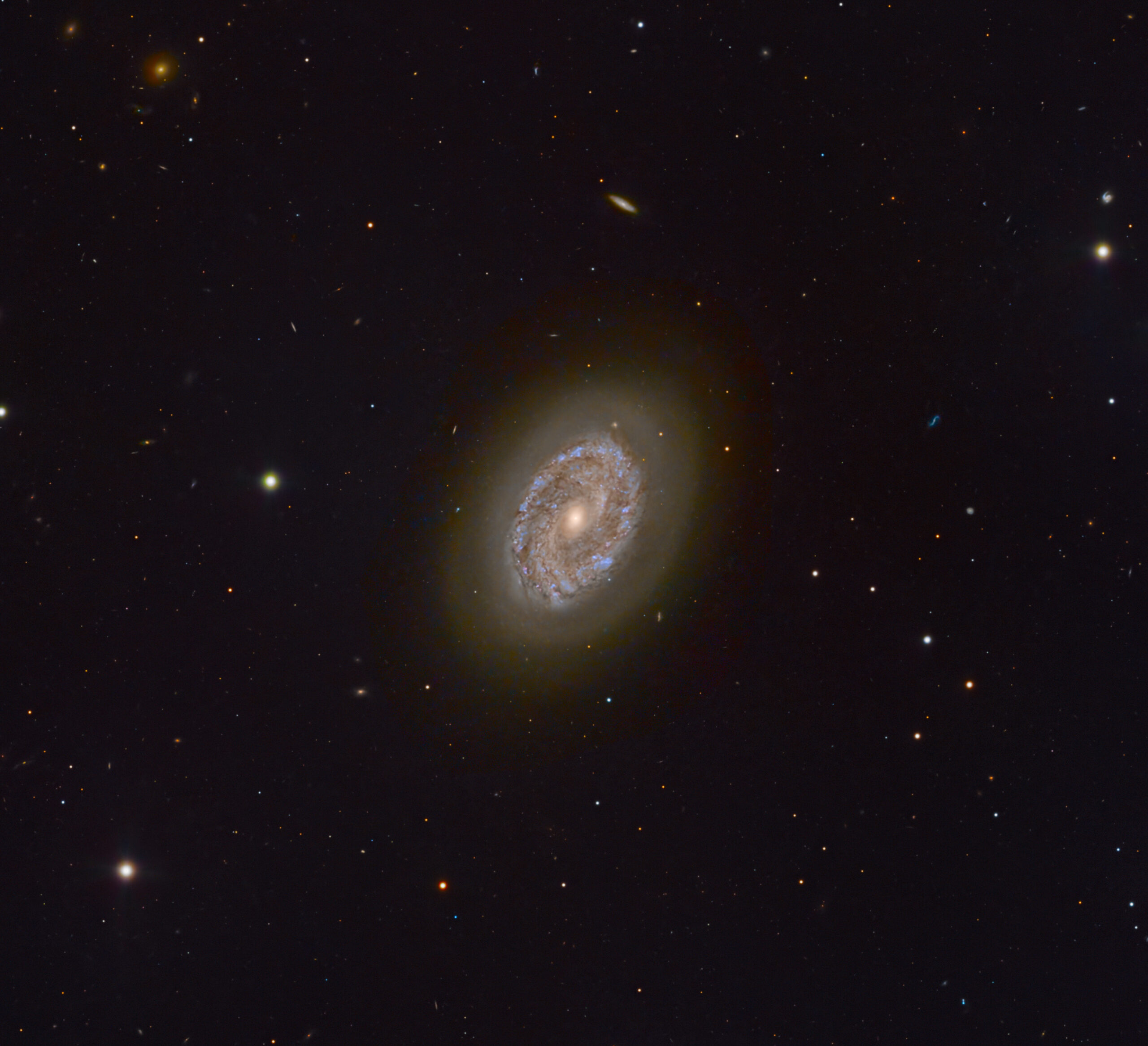 NGC 1436