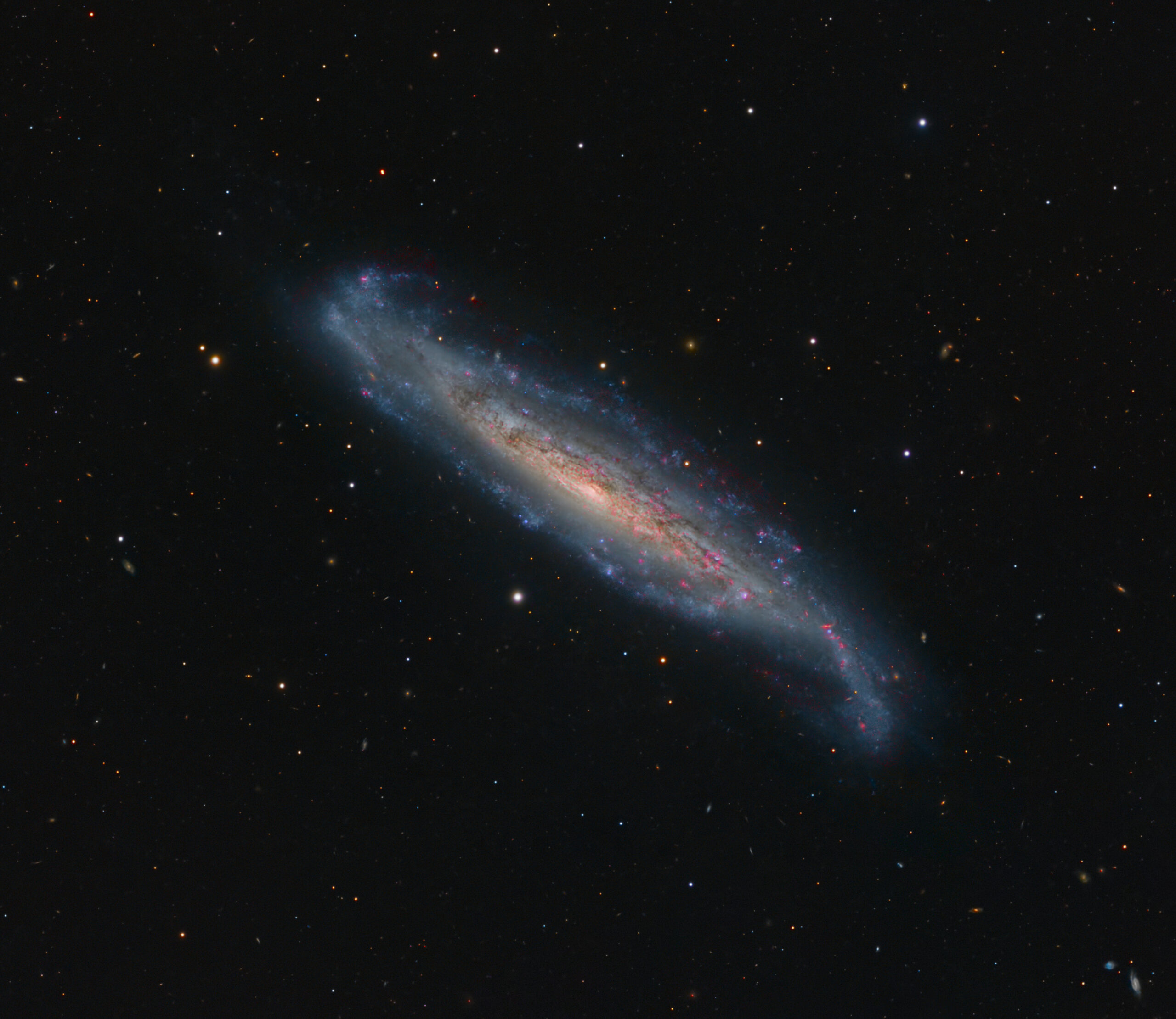 NGC 1448