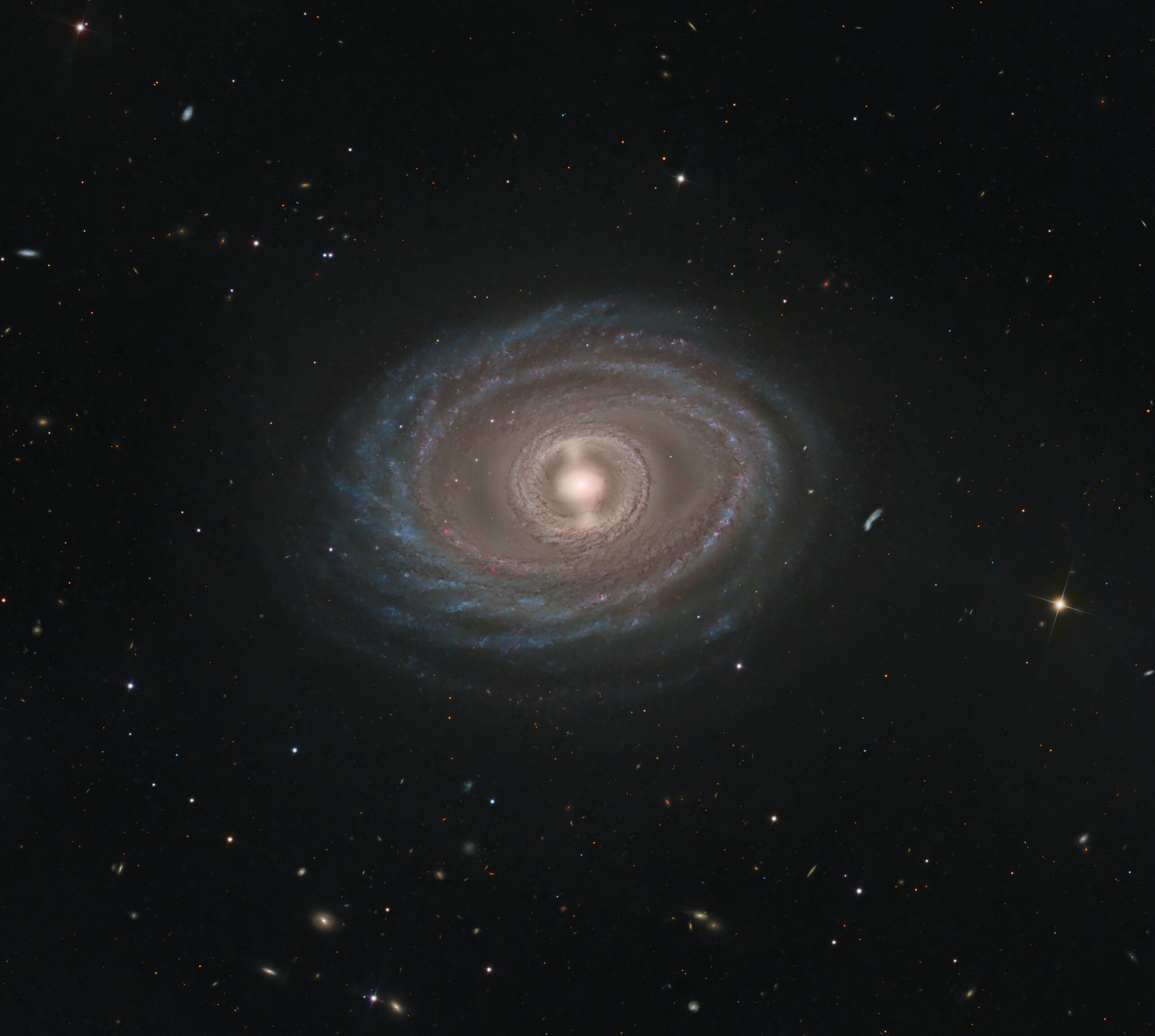 NGC 1398