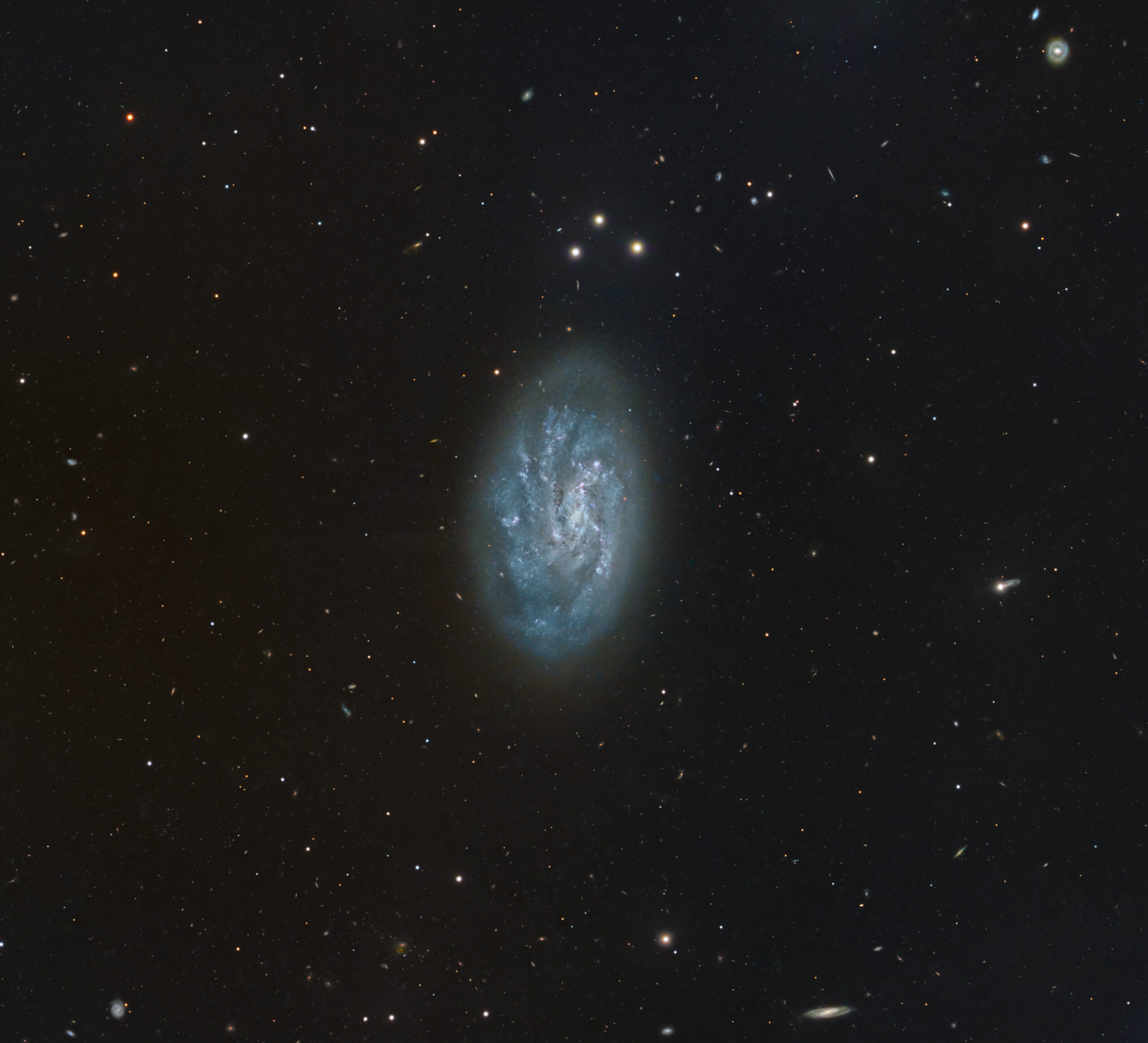 NGC 1494