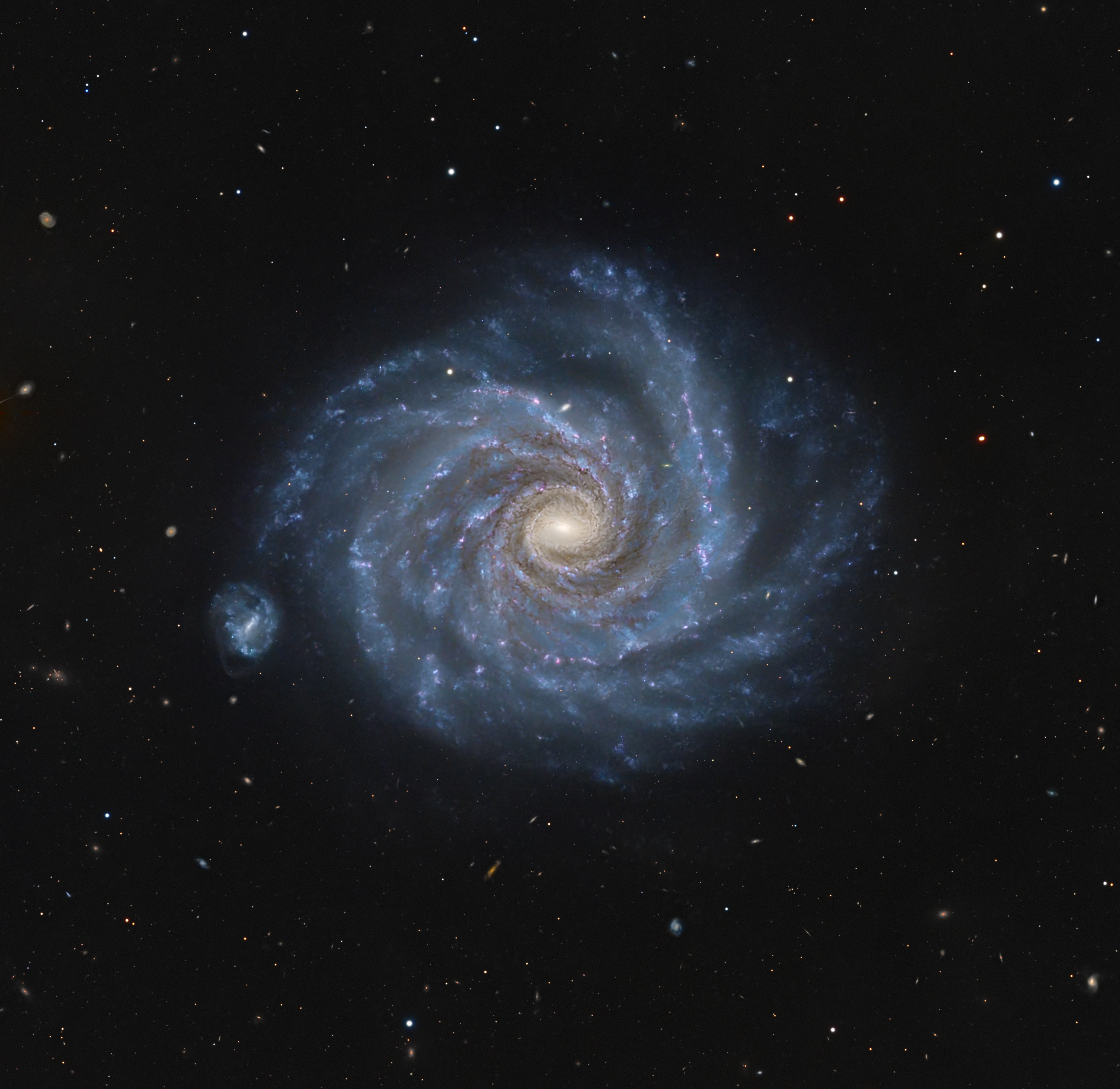 NGC 1232