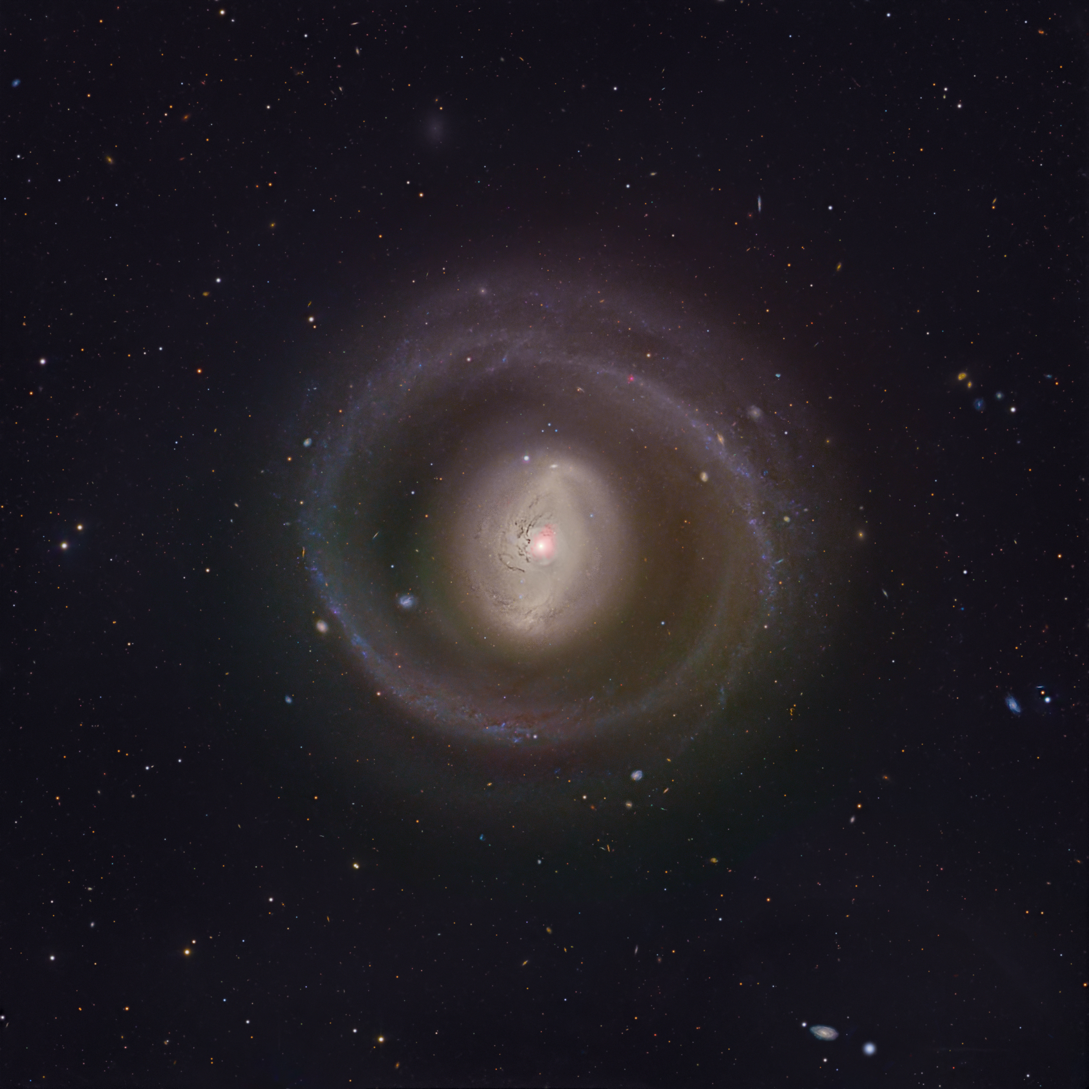 NGC 1291