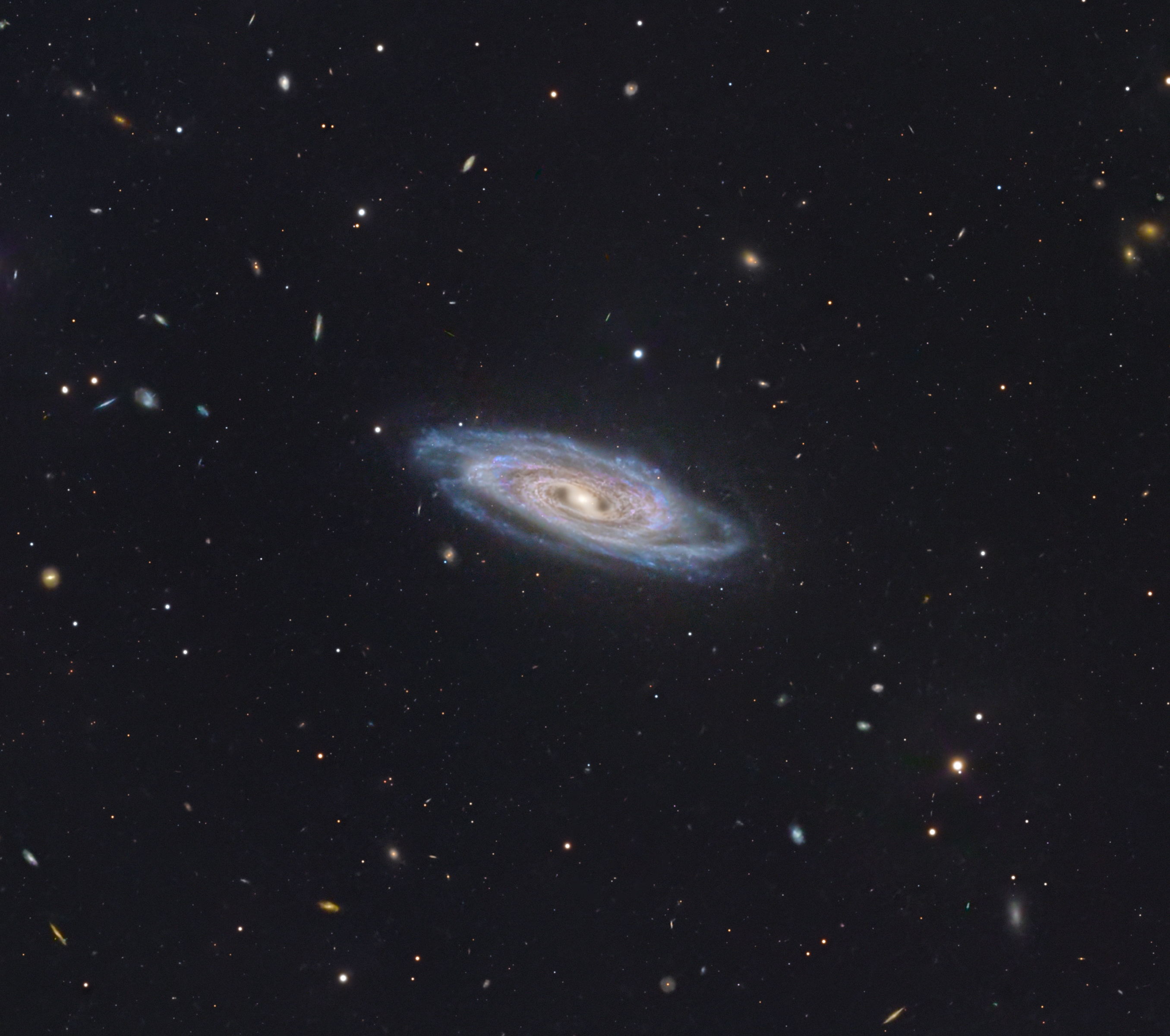 NGC 1558