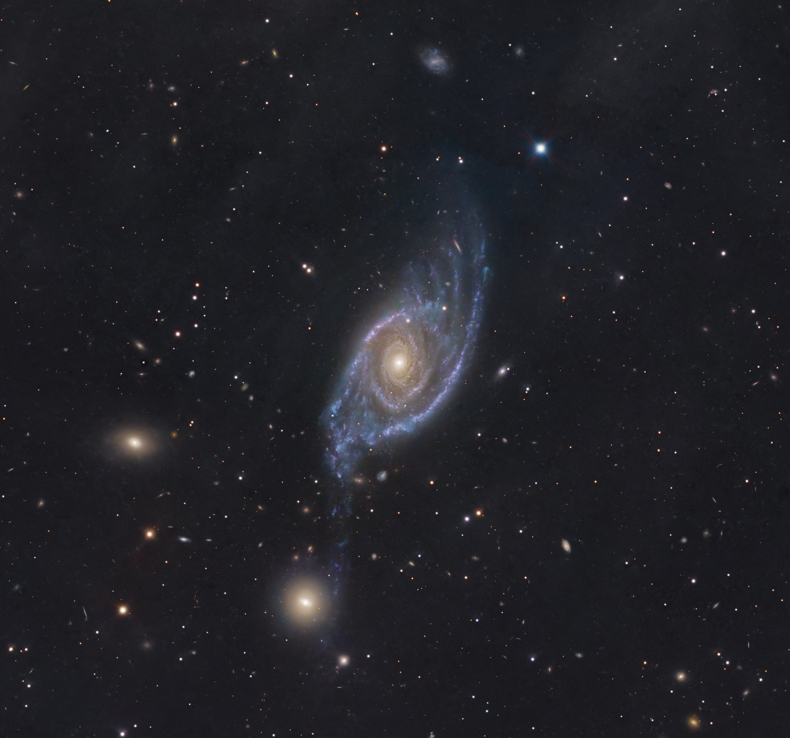 NGC 1954