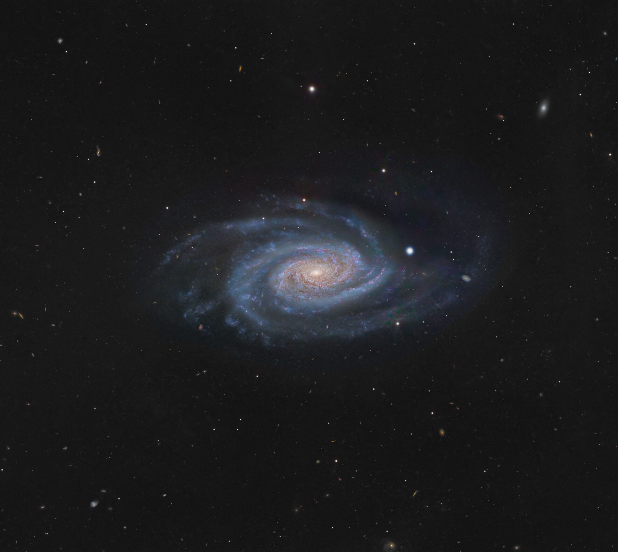 NGC 3338