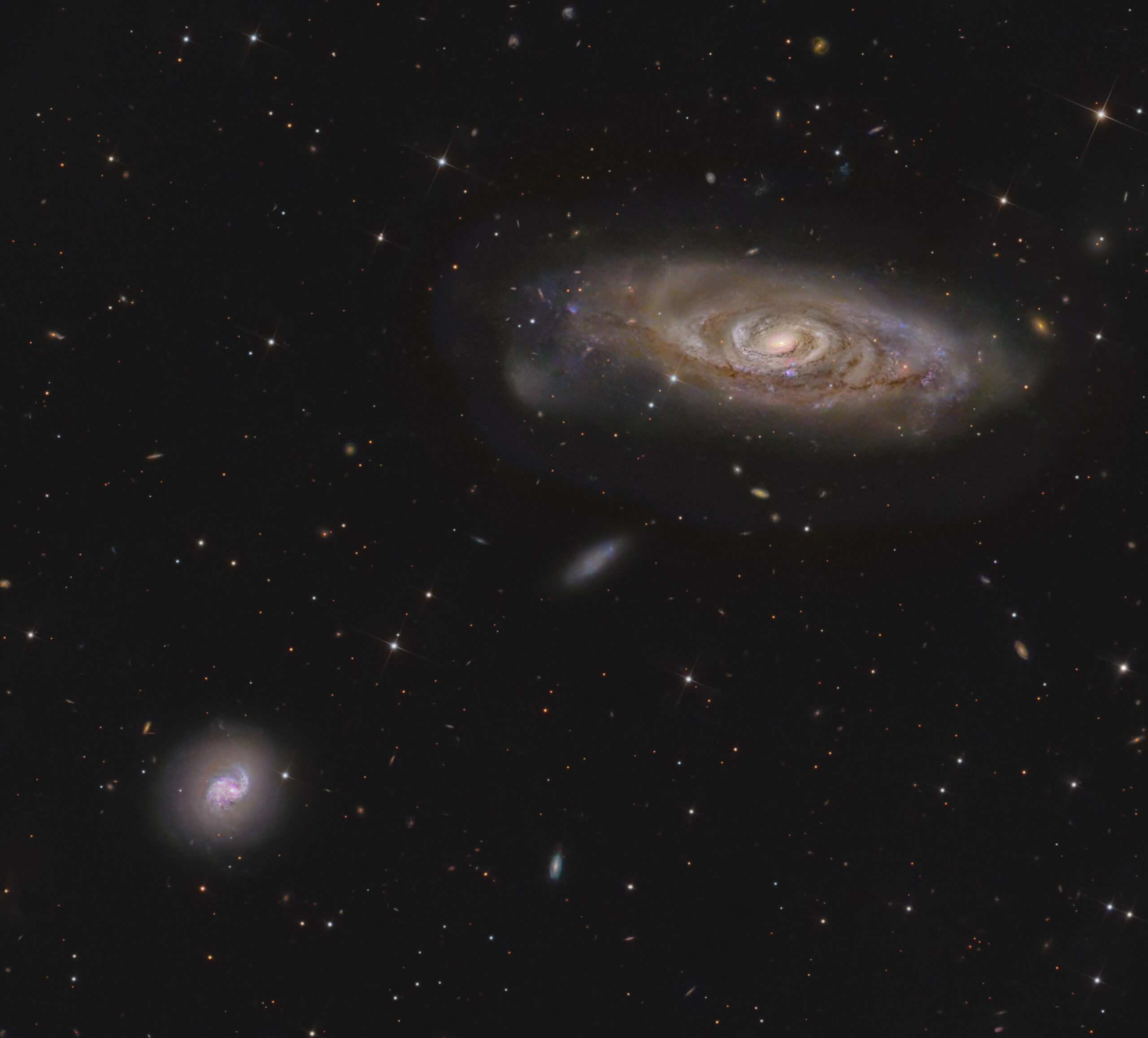 NGC 2921