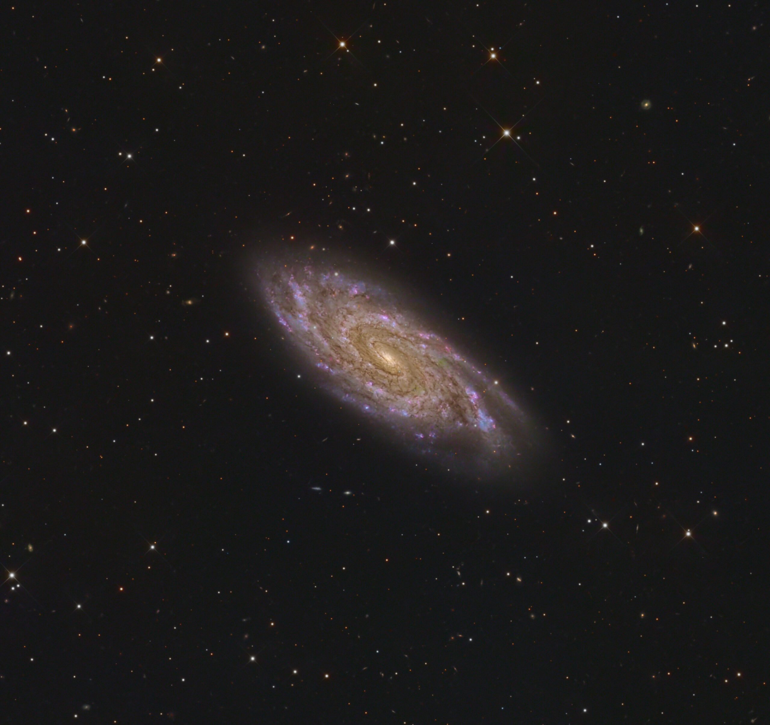 NGC 6118