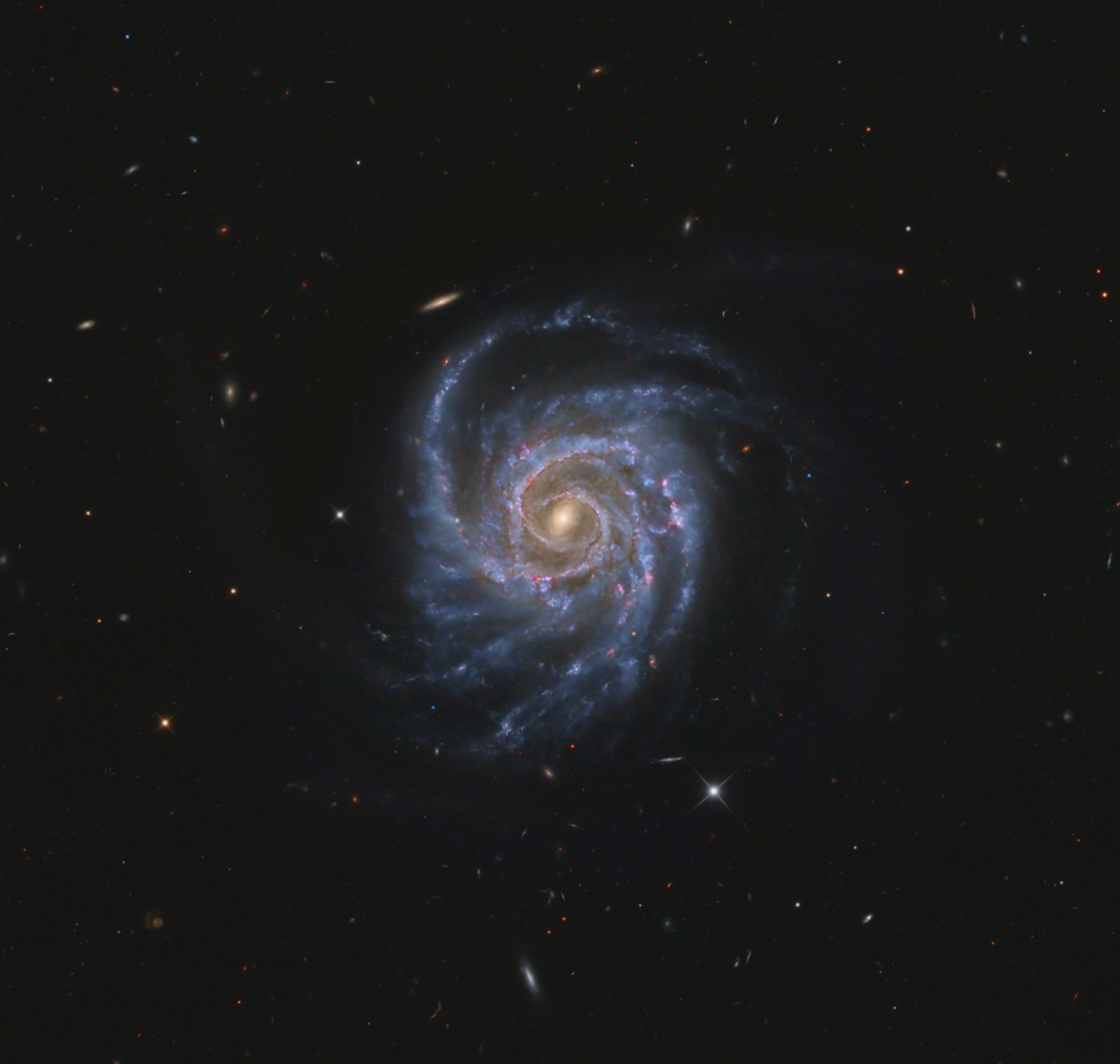 NGC 309