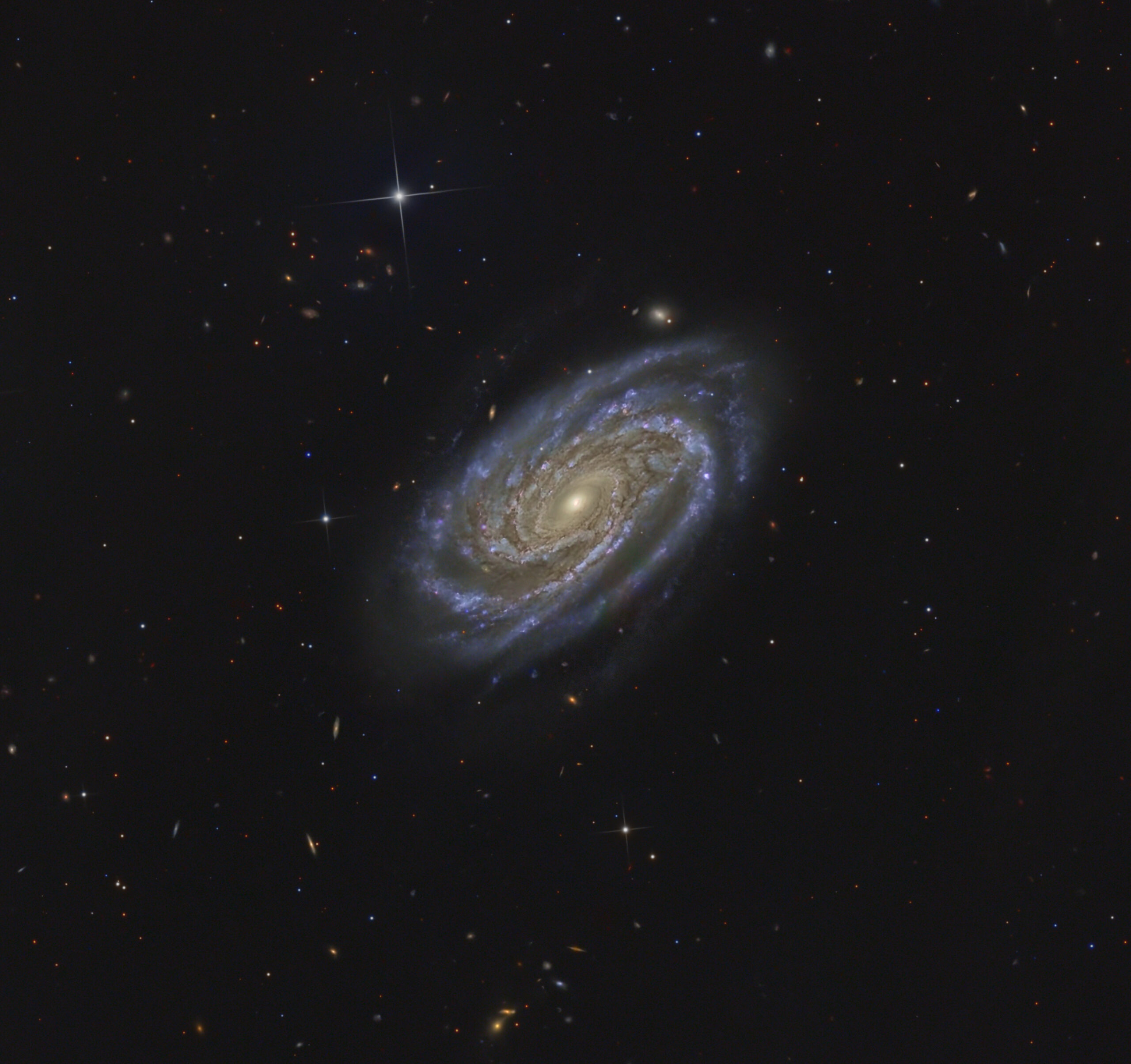 NGC 7038